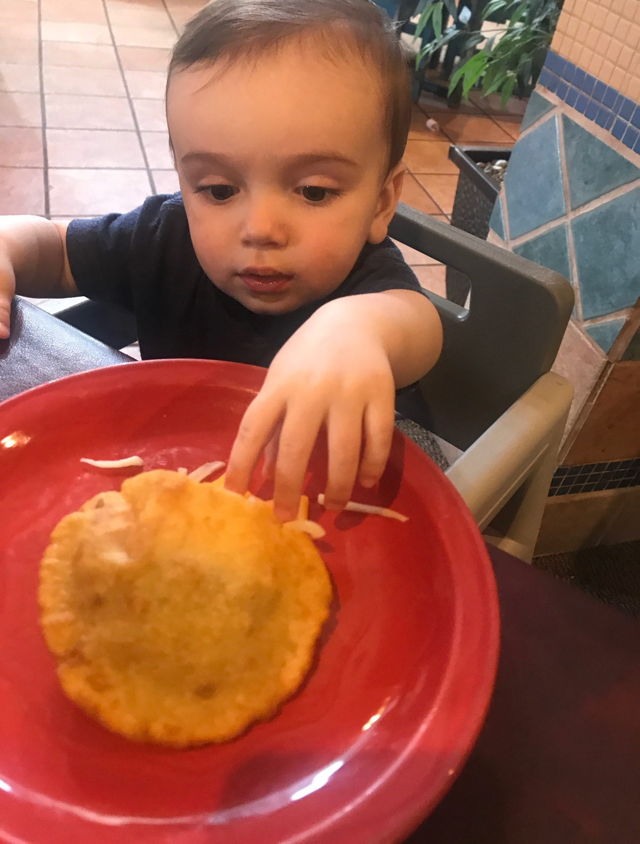 user avatar image for Phillip Arrellin