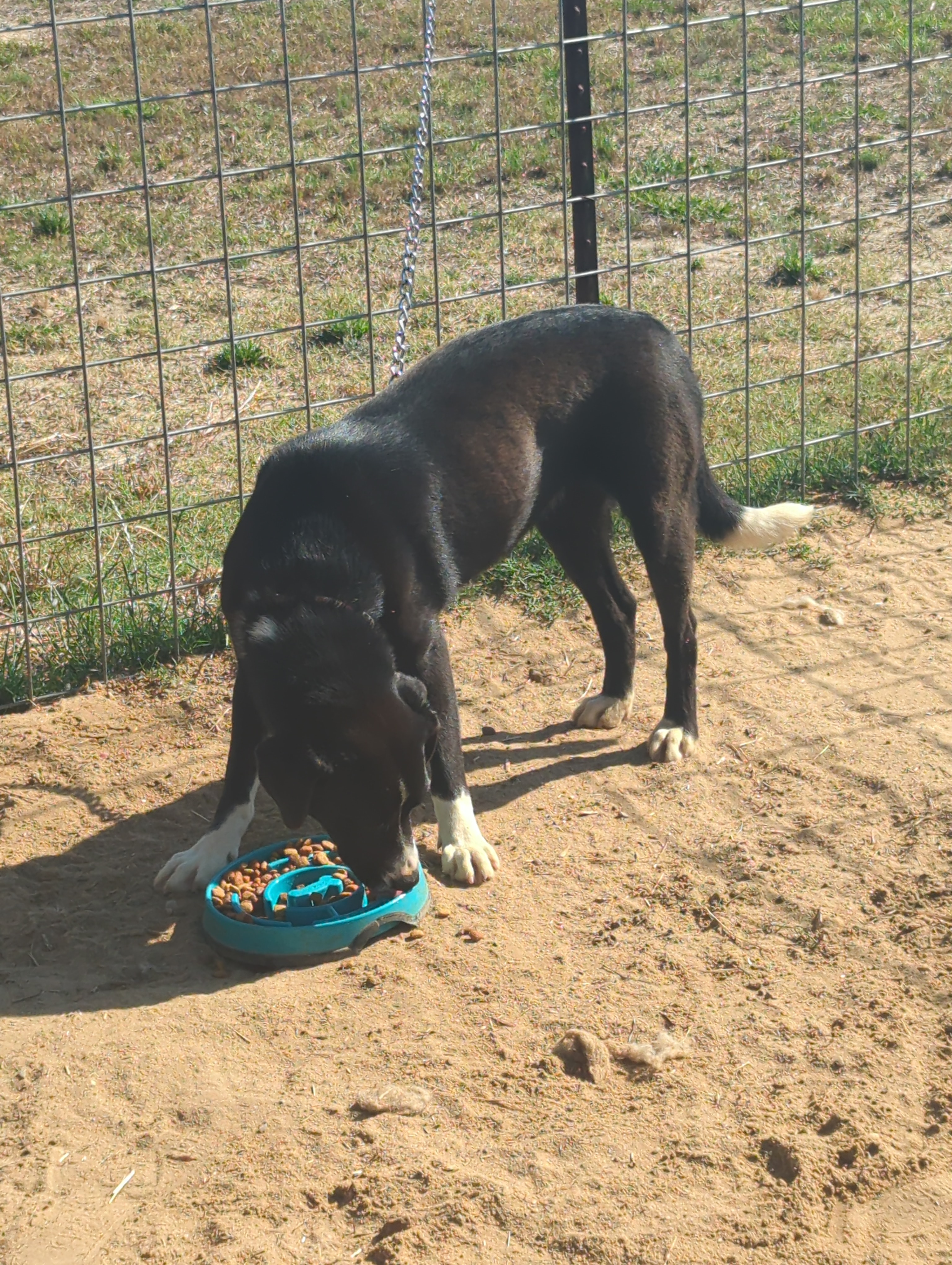 user avatar image for RiverMist