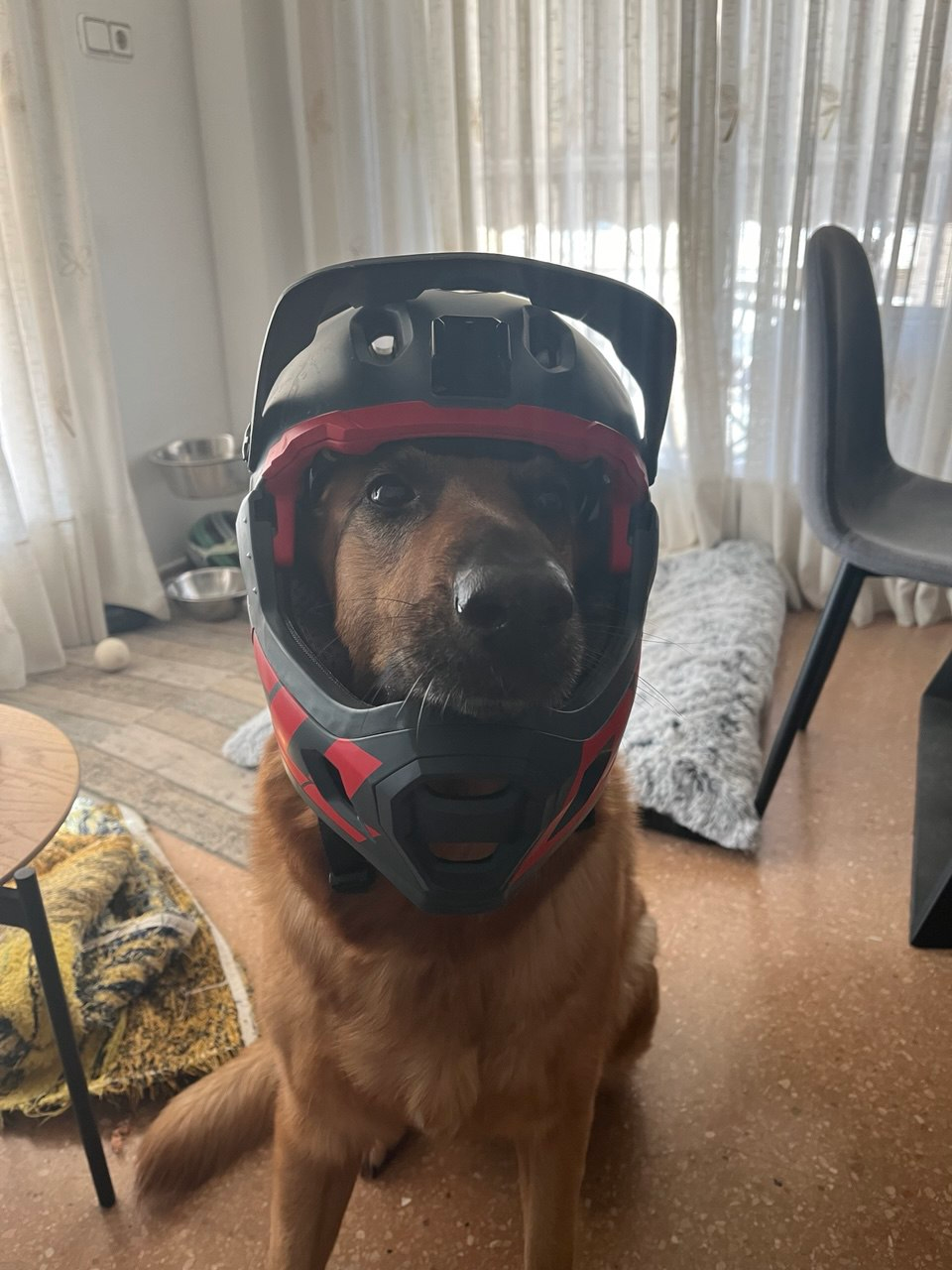 user avatar image for Dragner