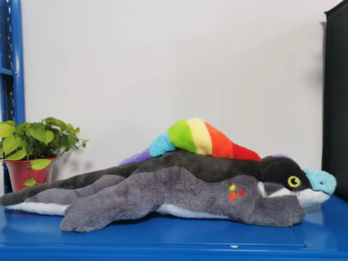 Oversized Pride Spino!