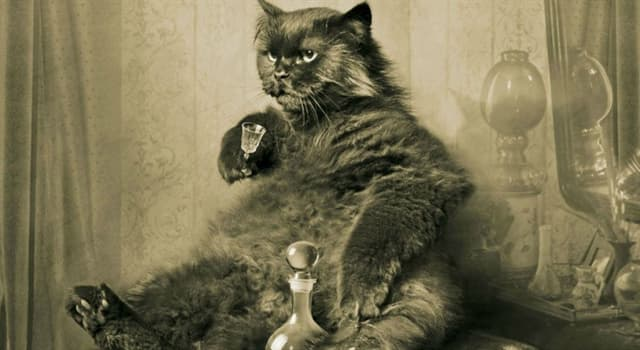 user avatar image for Spork