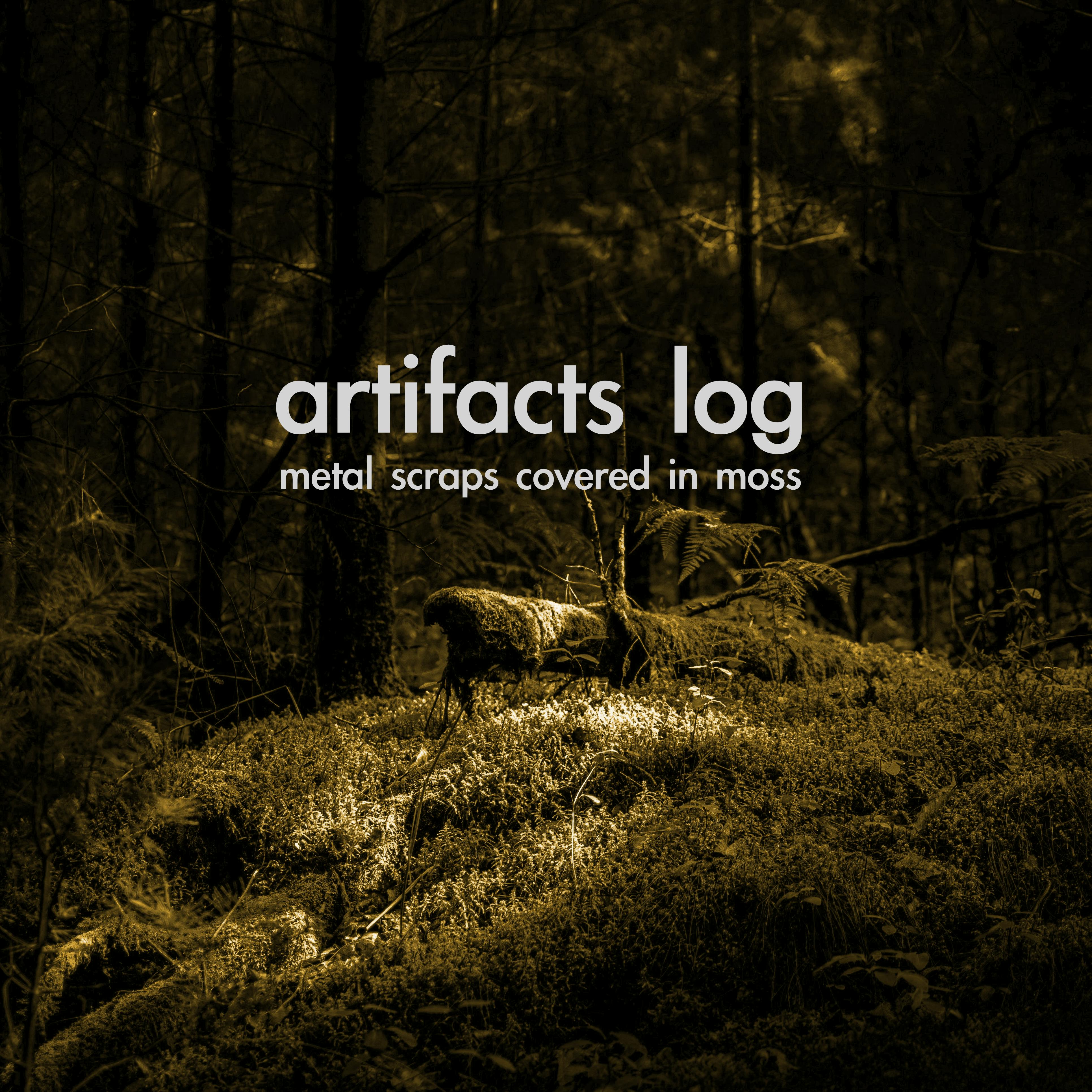 Additional Artifacts Log