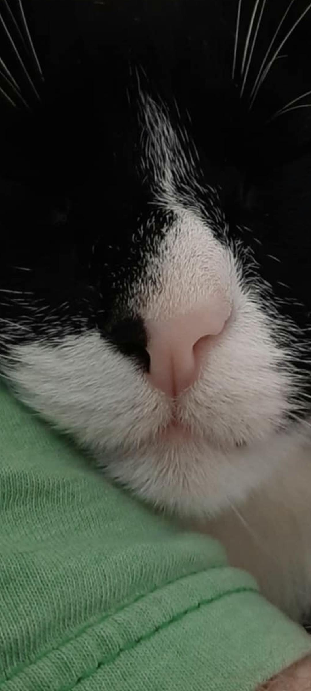 user avatar image for Jeramie Parenteau