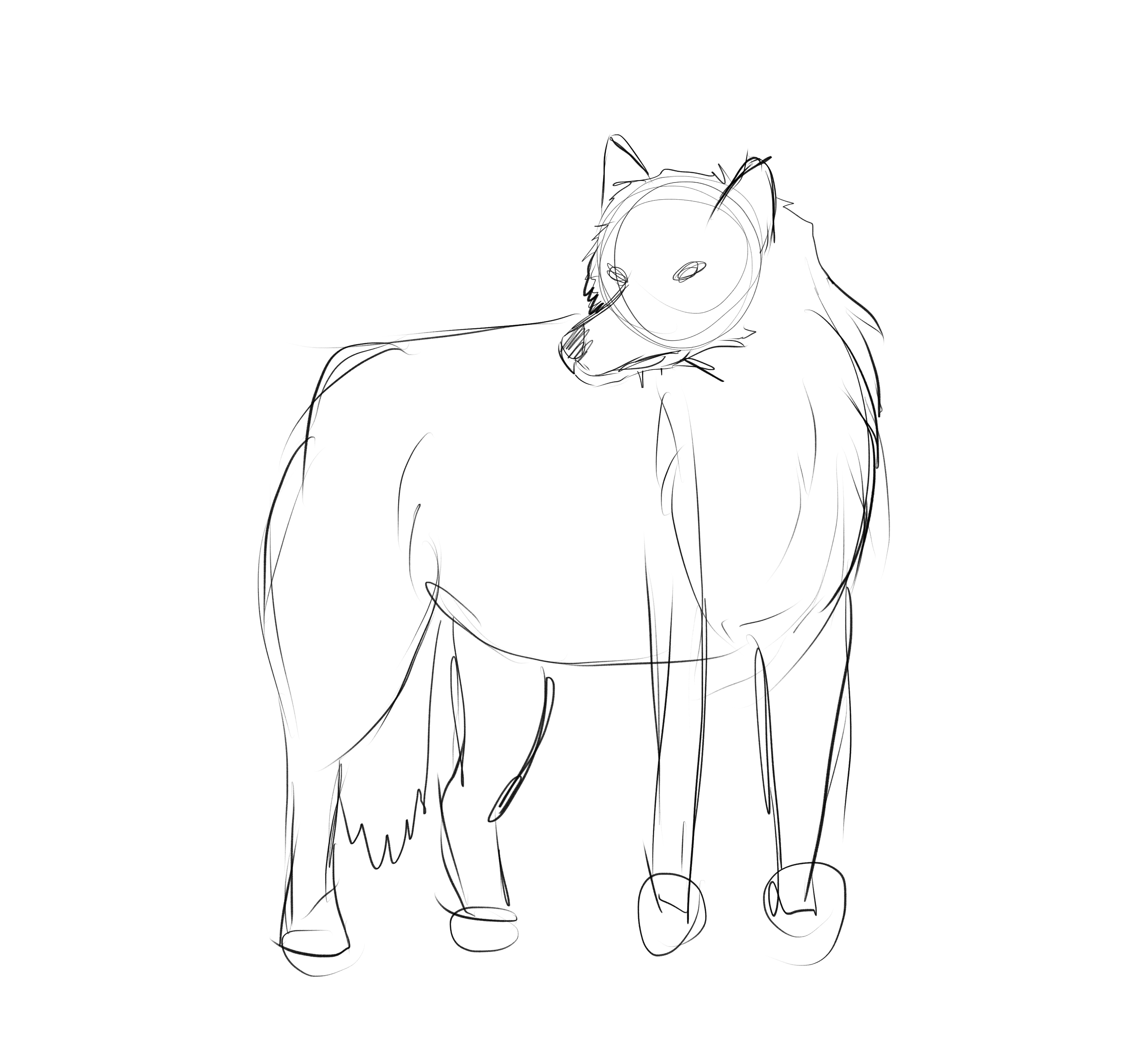 Dire Wolf