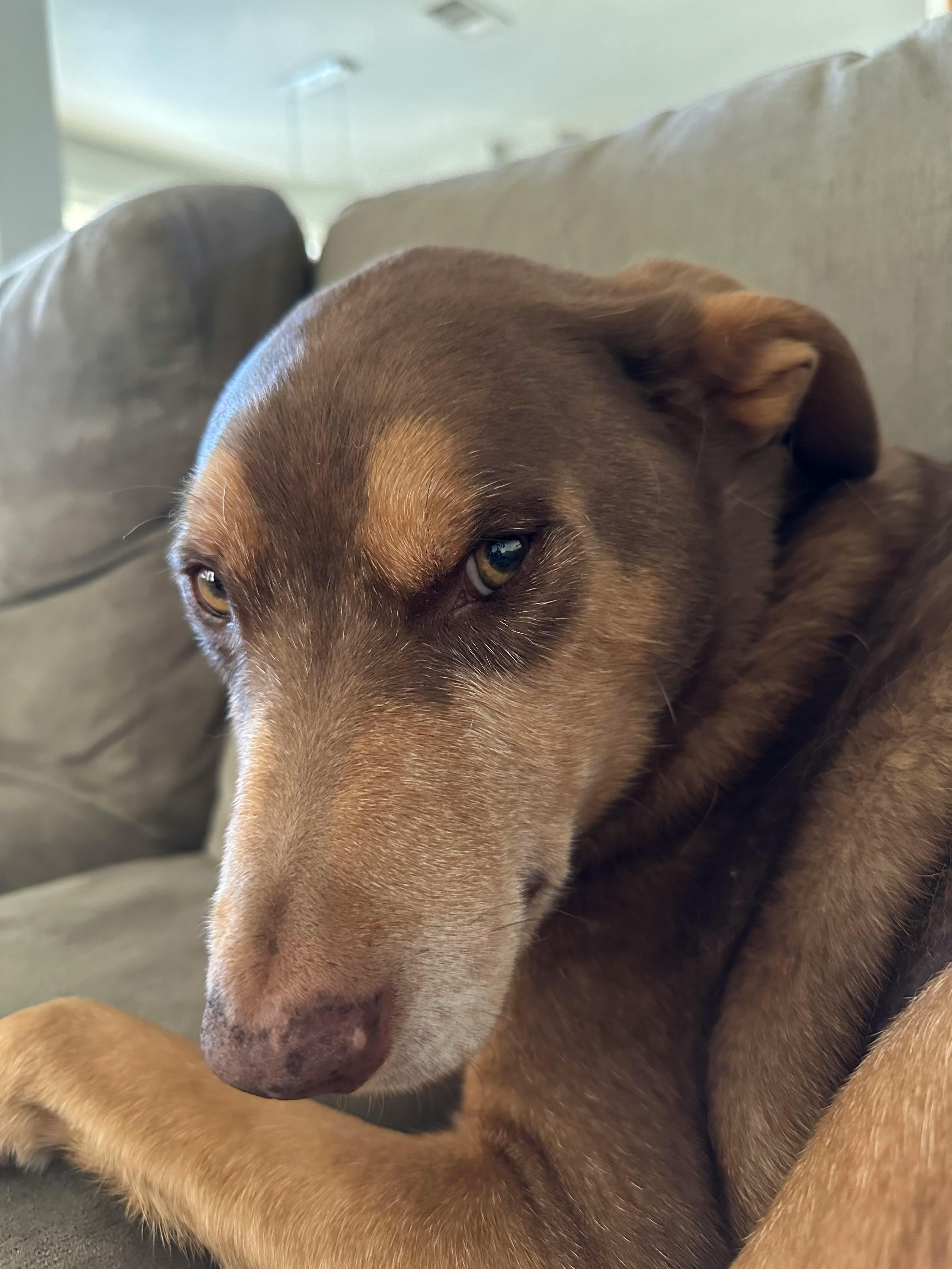 user avatar image for R