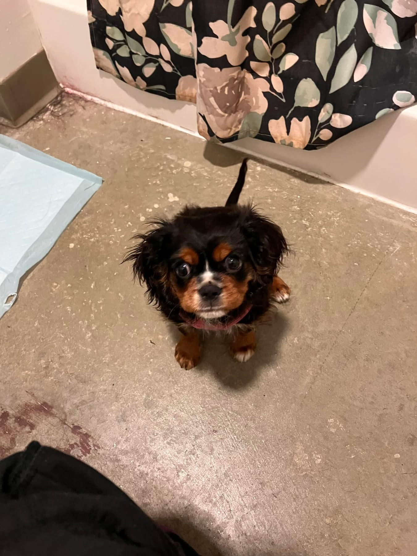 user avatar image for VenusRat