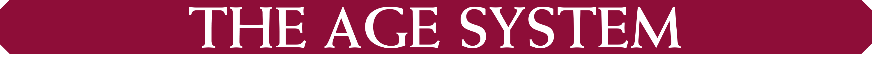 Header: The AGE System