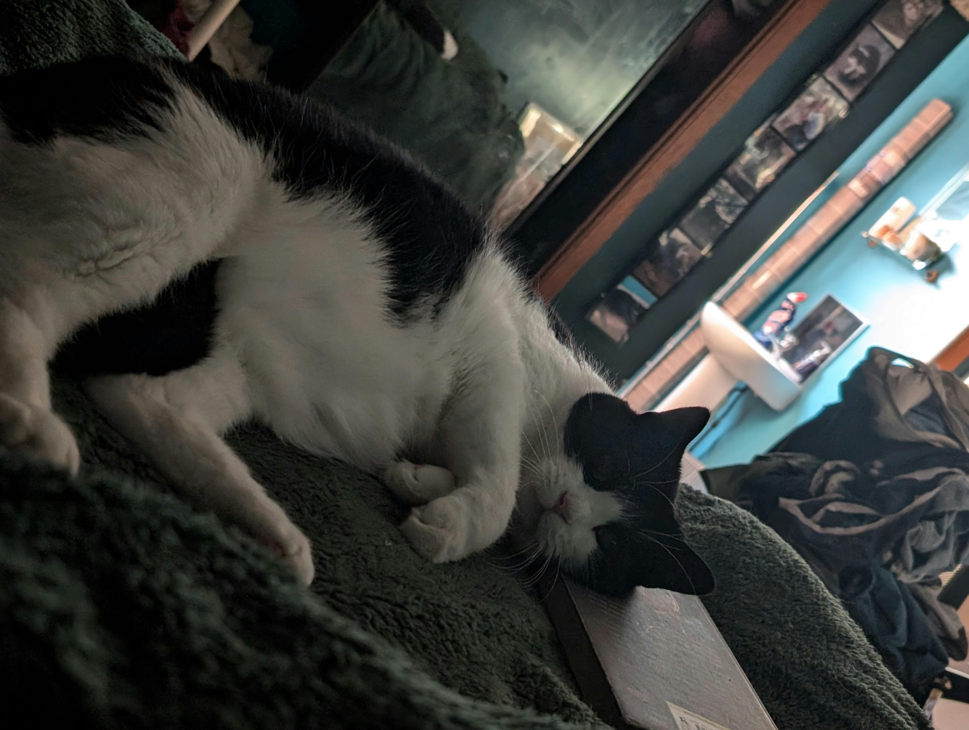 user avatar image for Nick