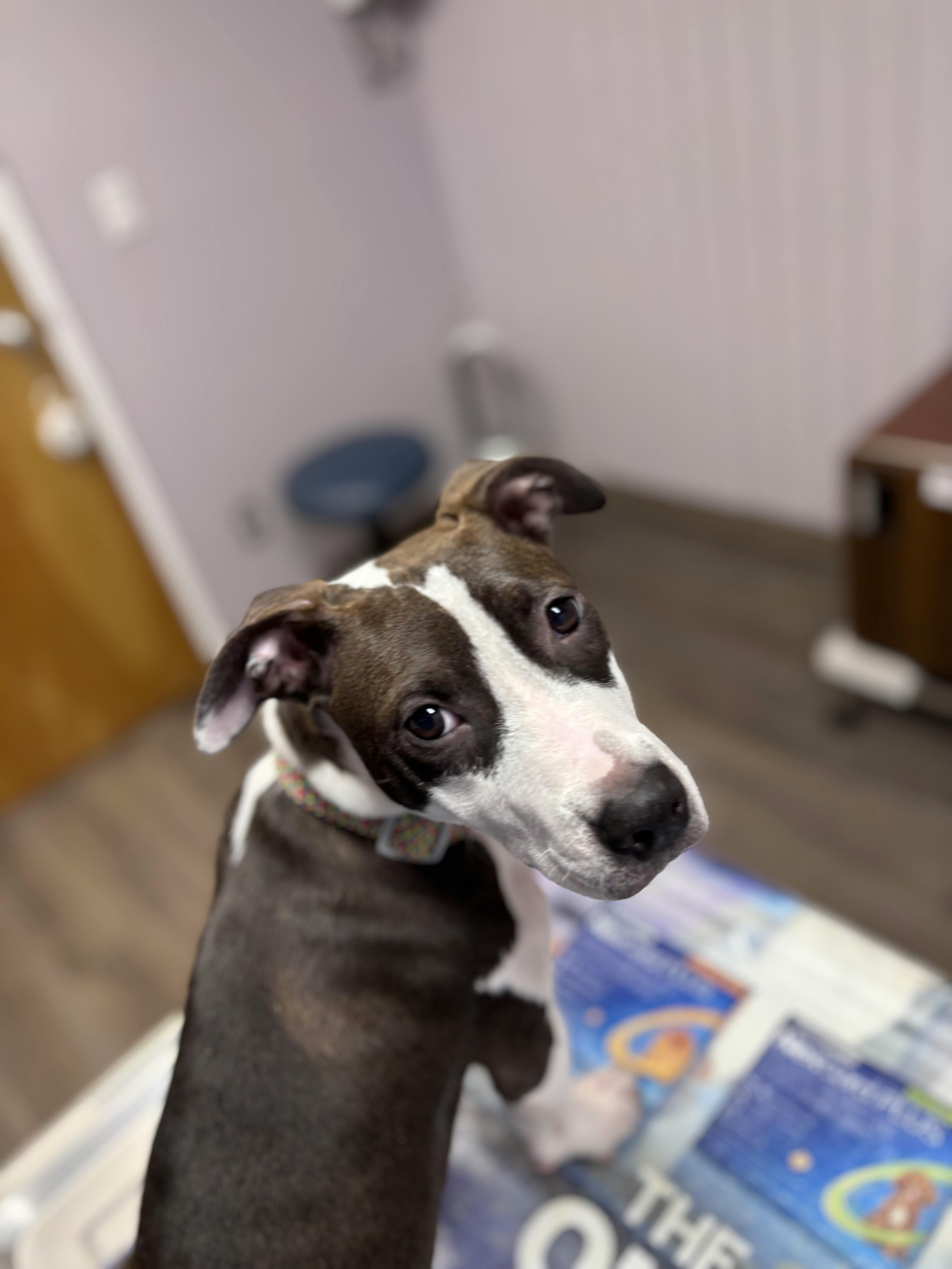 user avatar image for Vith