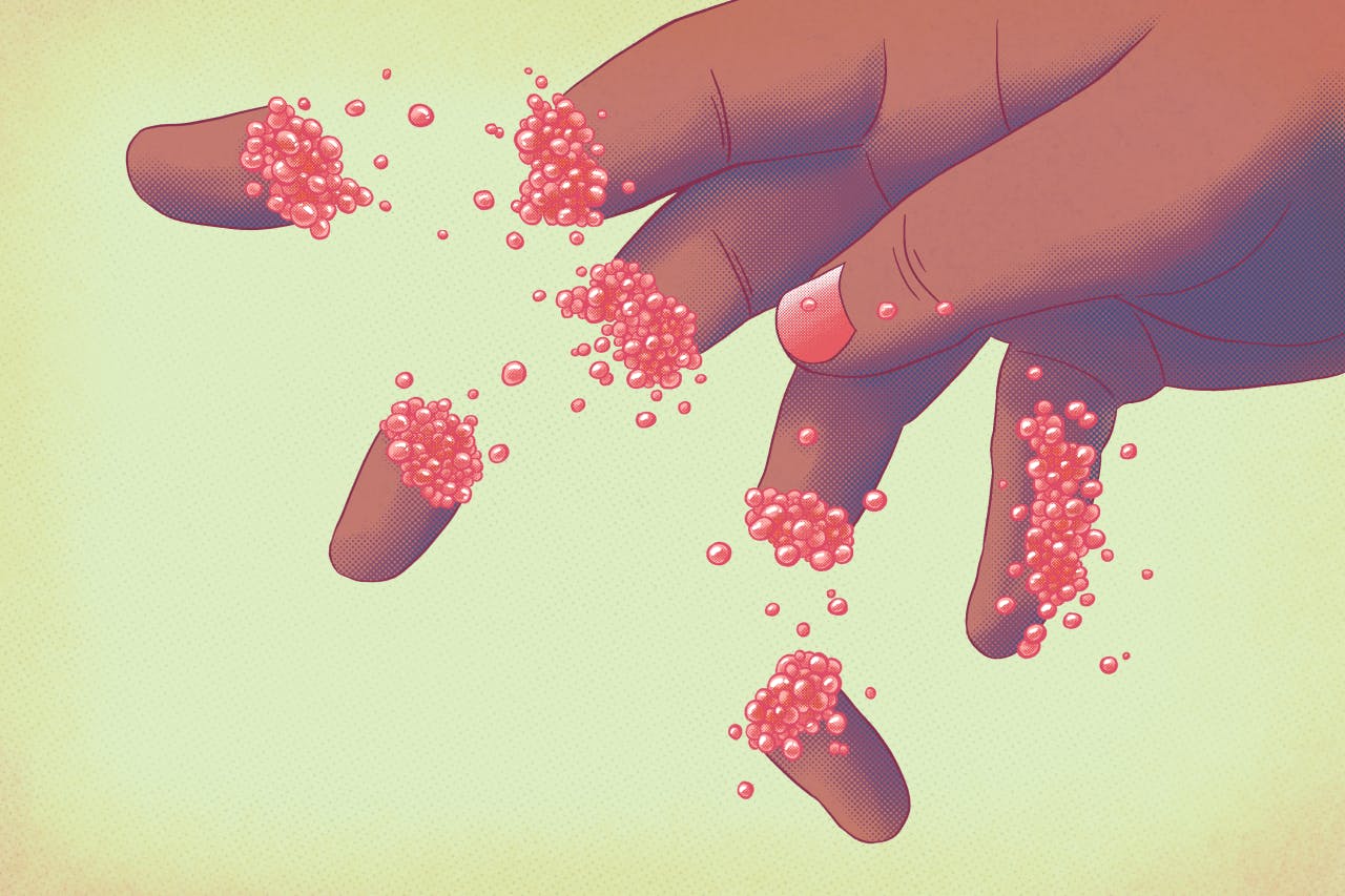 "Finger Limes" Print