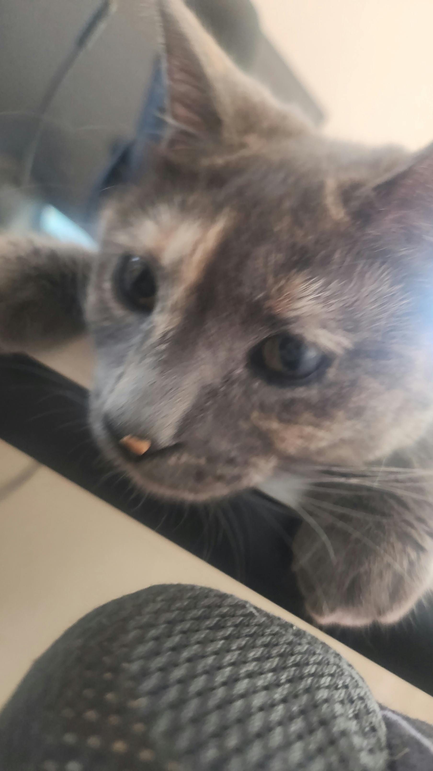 user avatar image for Anthony Segovia