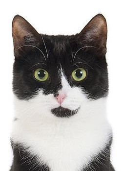 user avatar image for Katherine