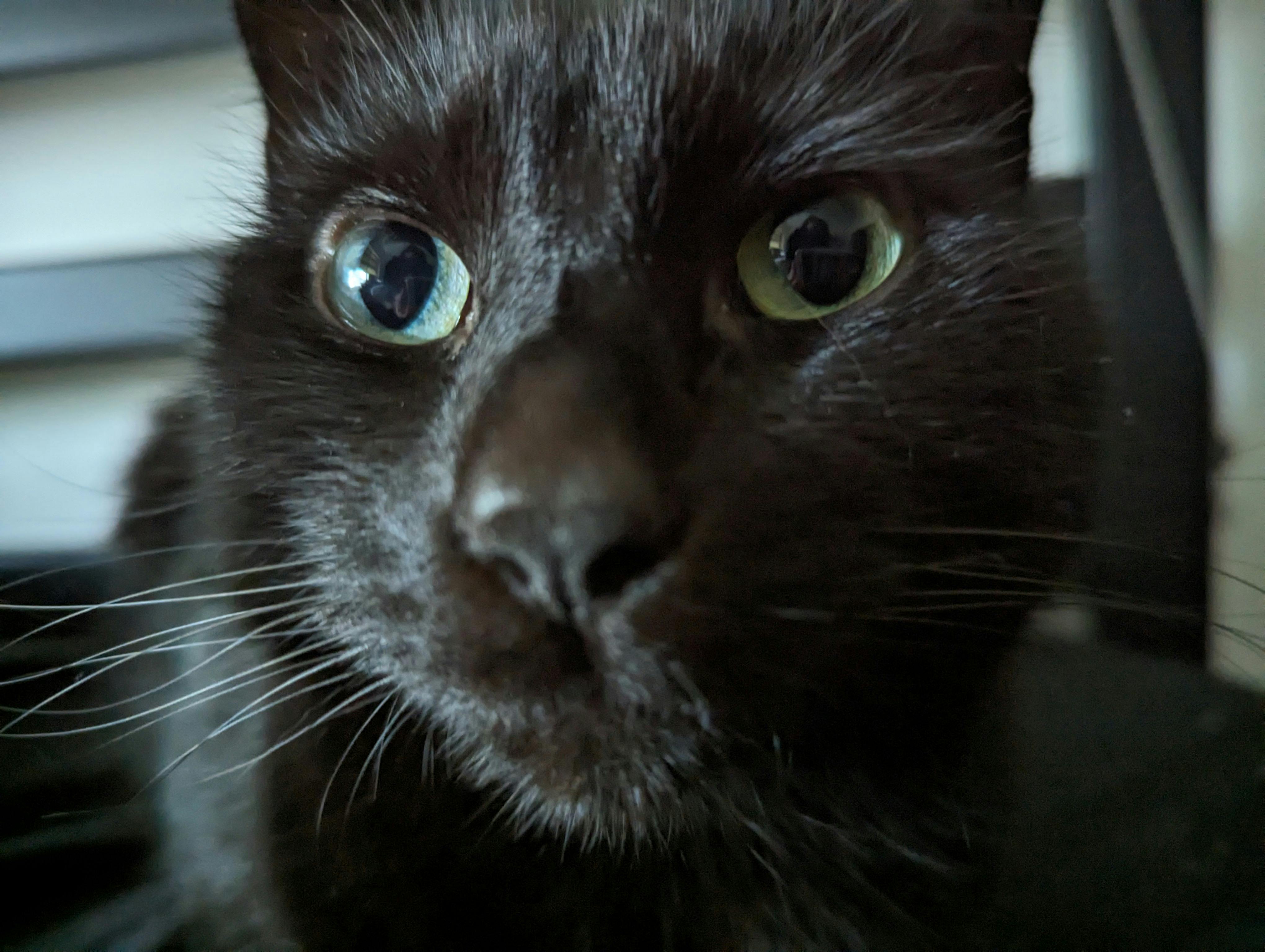 user avatar image for Cat