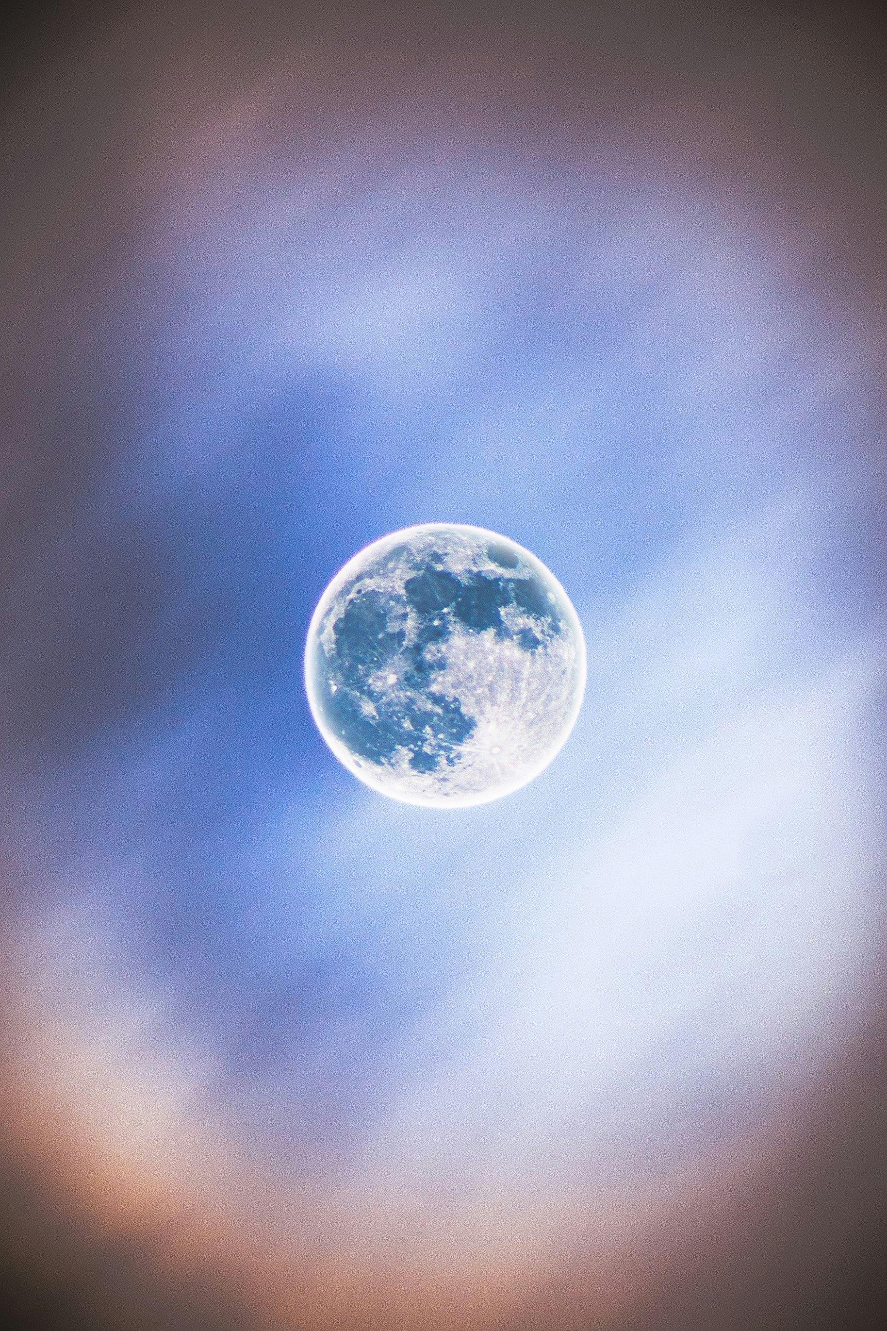 user avatar image for Maris