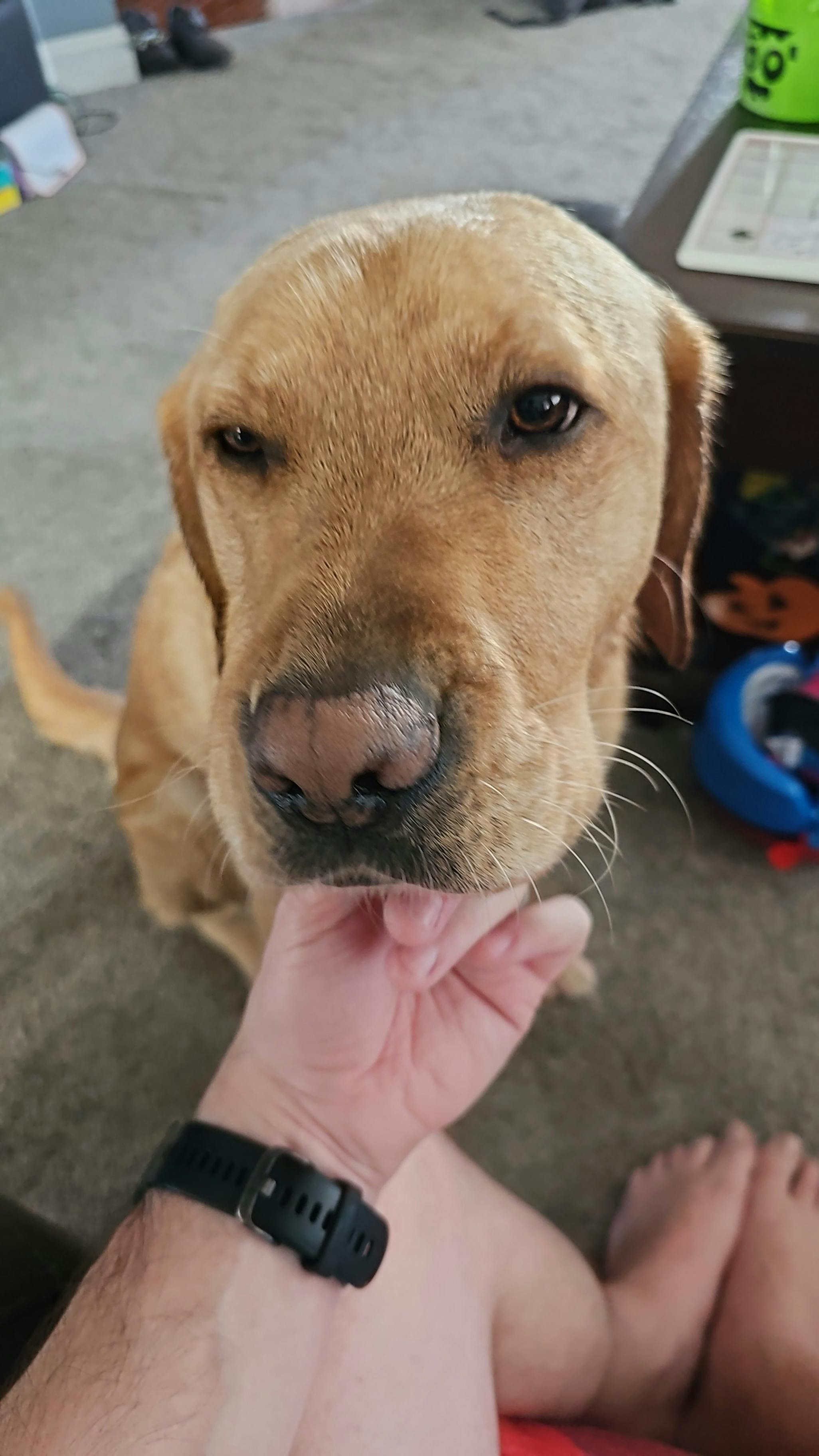 user avatar image for Christopher Prime