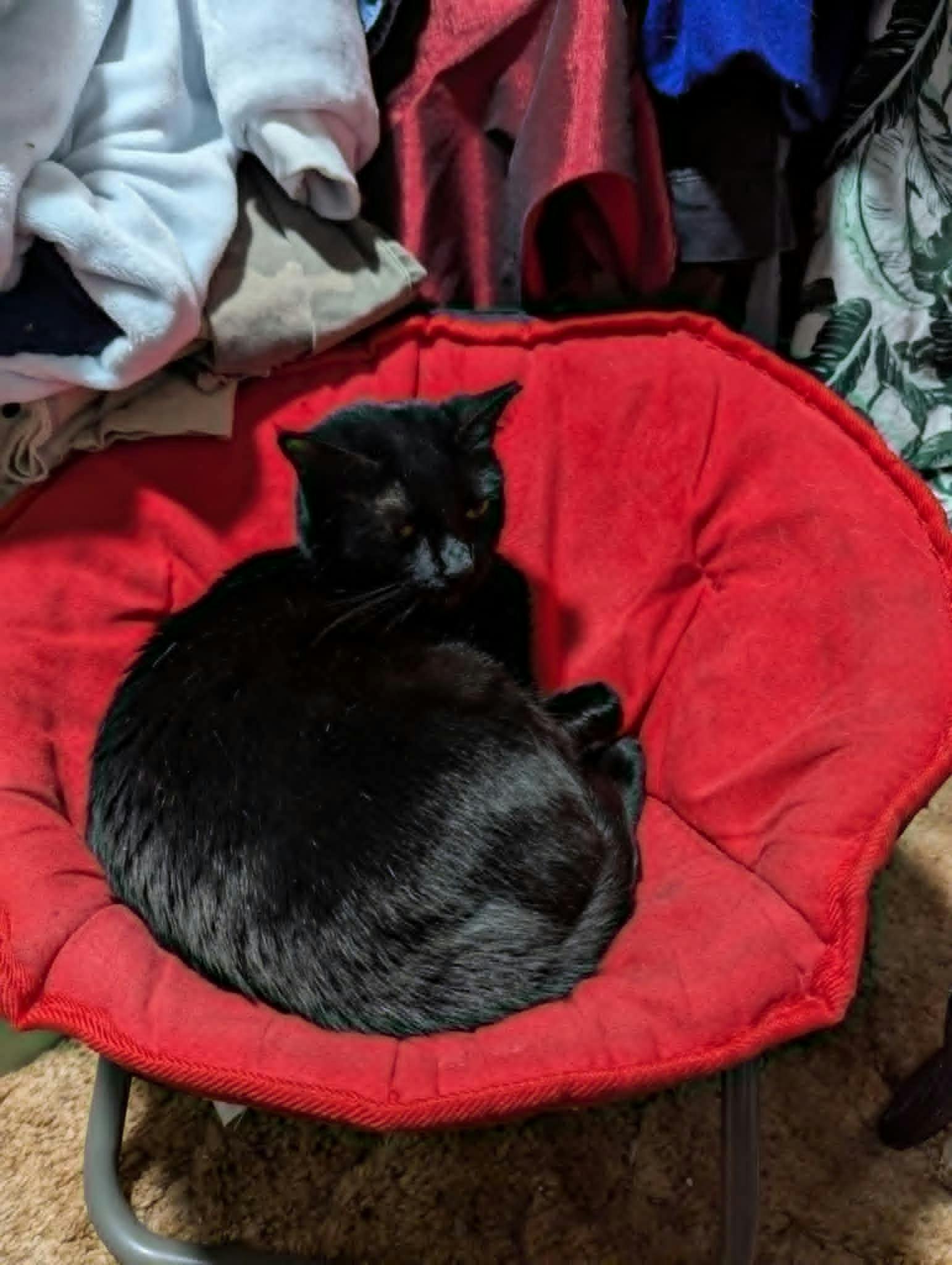 user avatar image for mike martin