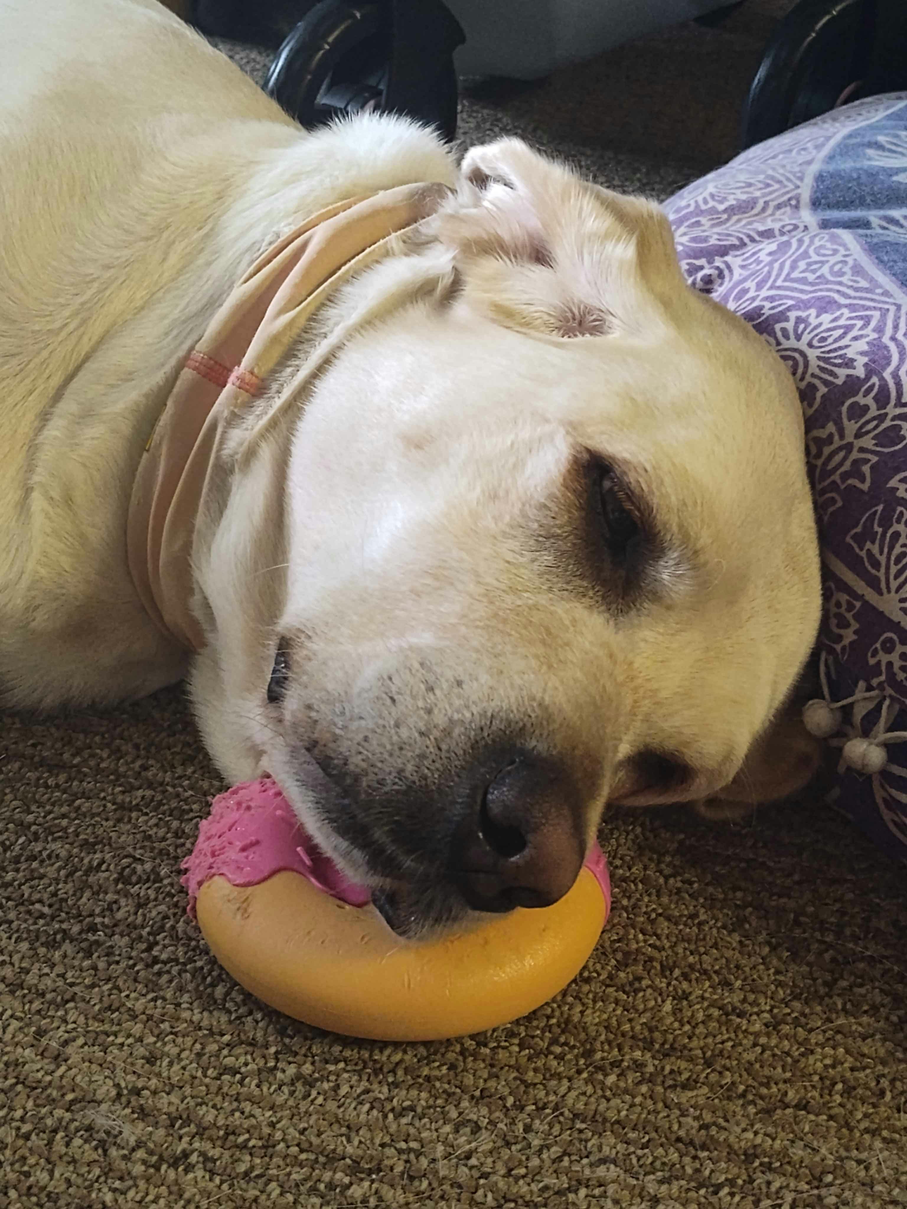 user avatar image for Westin 