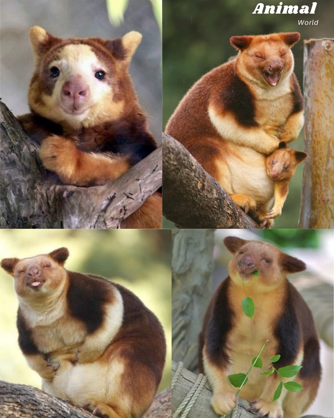 user avatar image for Sil Van Den Broeck