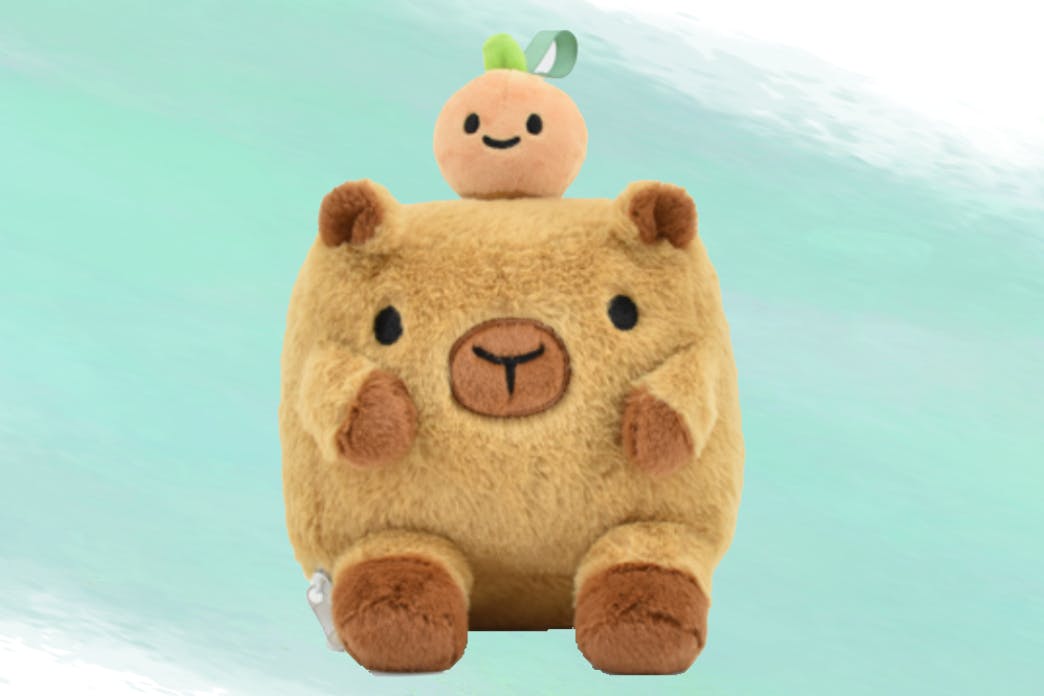 Capybara Plush bag NO strap