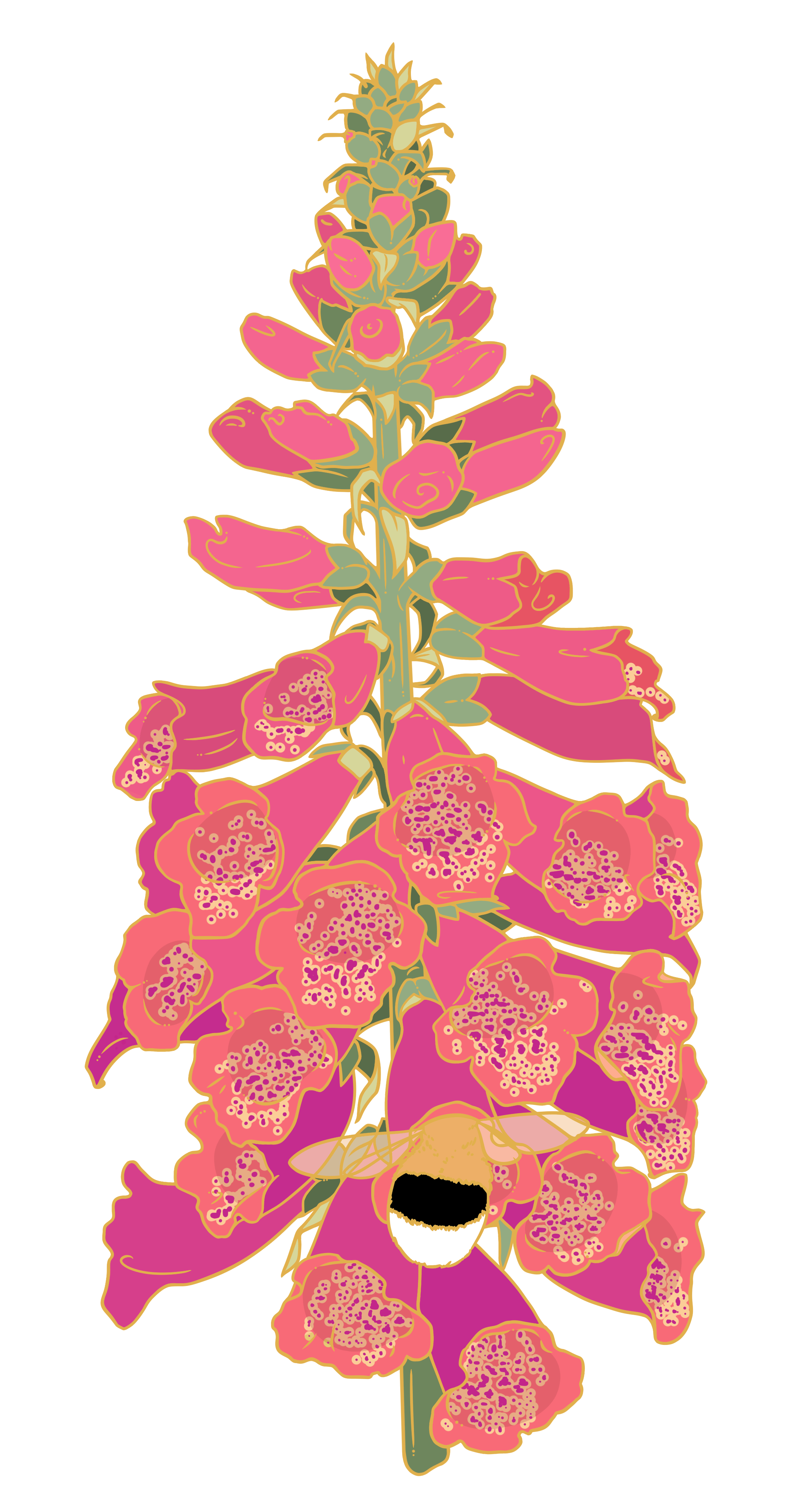 Bright Pink Foxglove Large Pin	