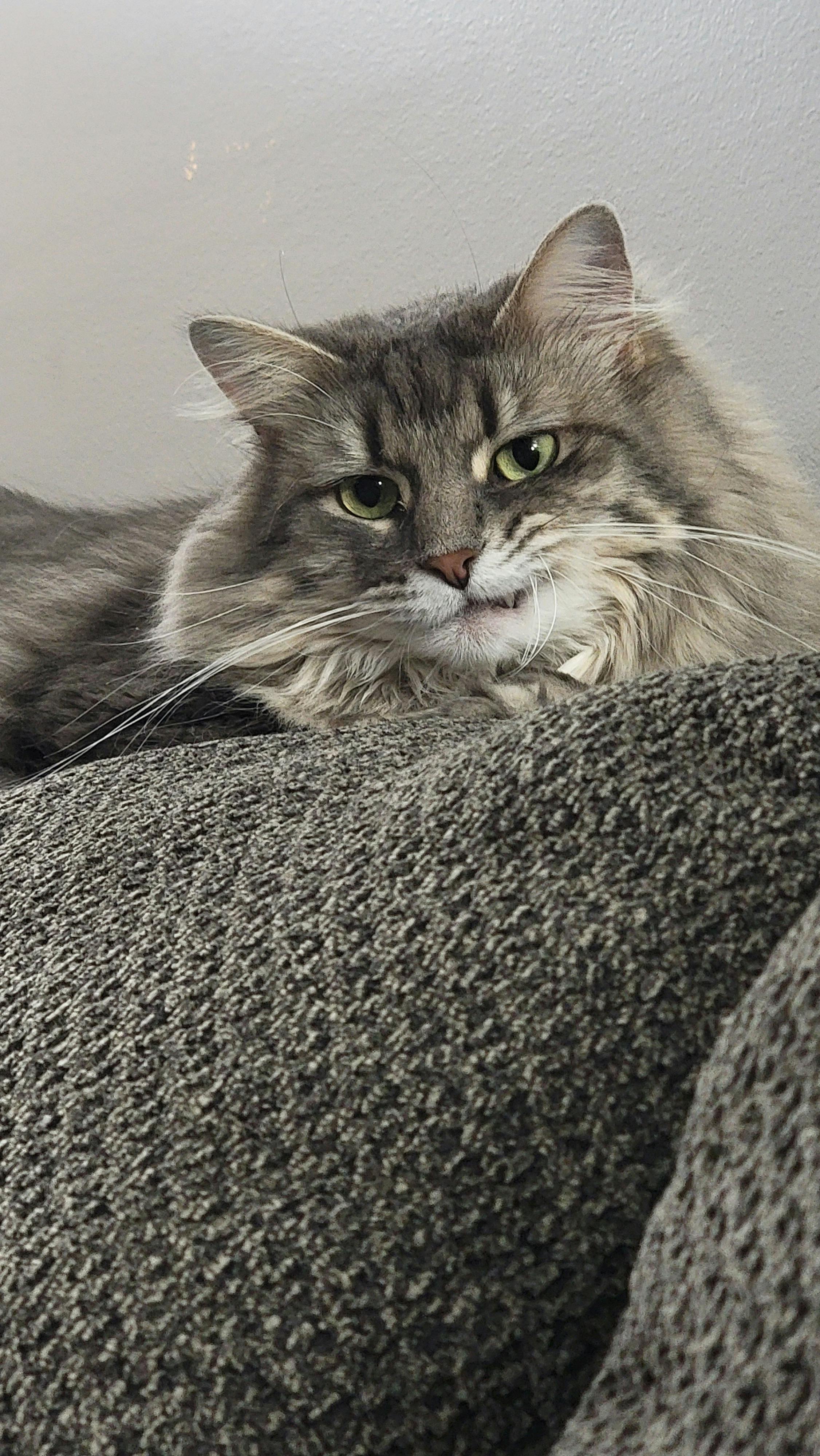 user avatar image for Ryan Mason