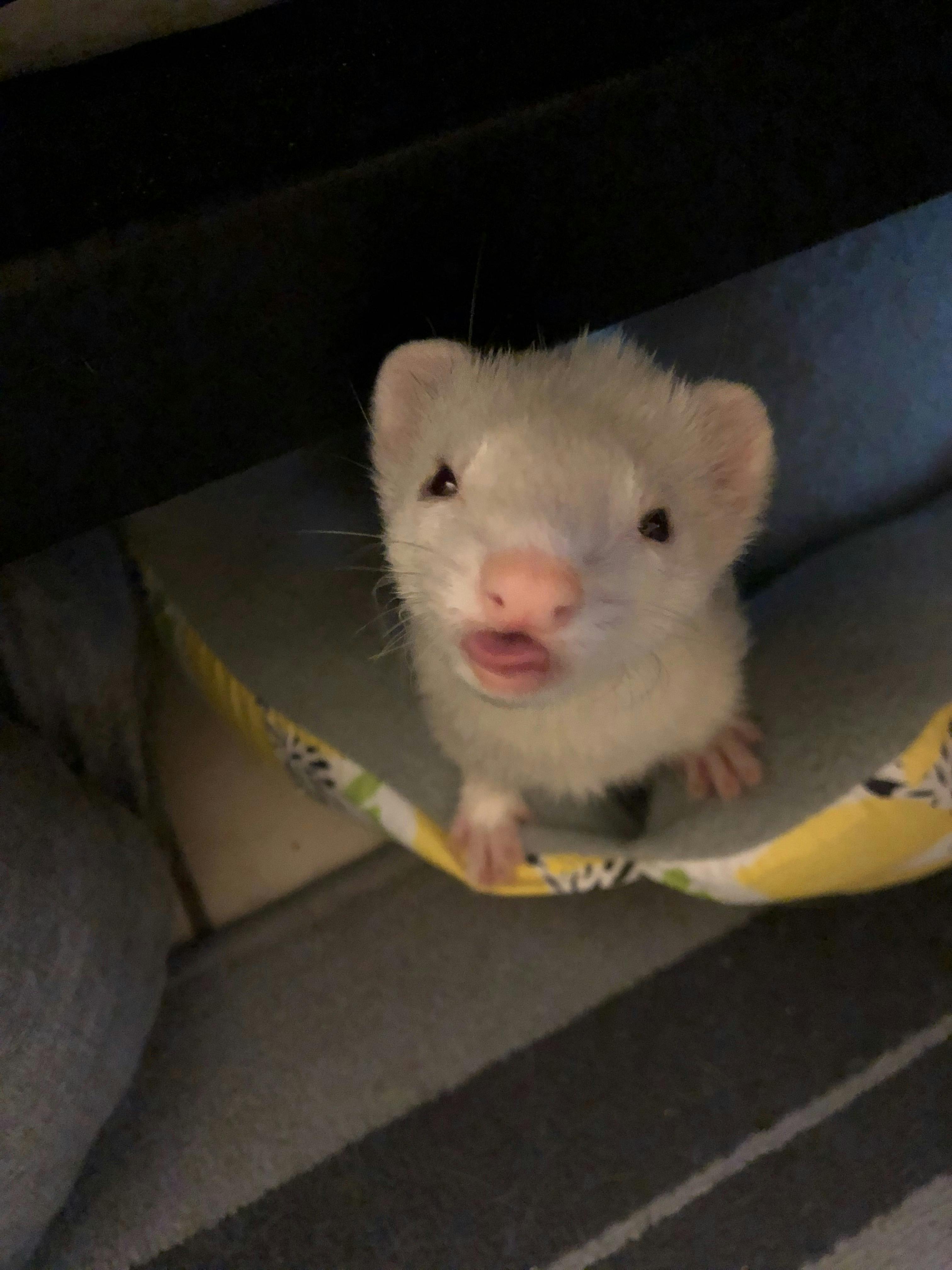 user avatar image for Jess Garcia