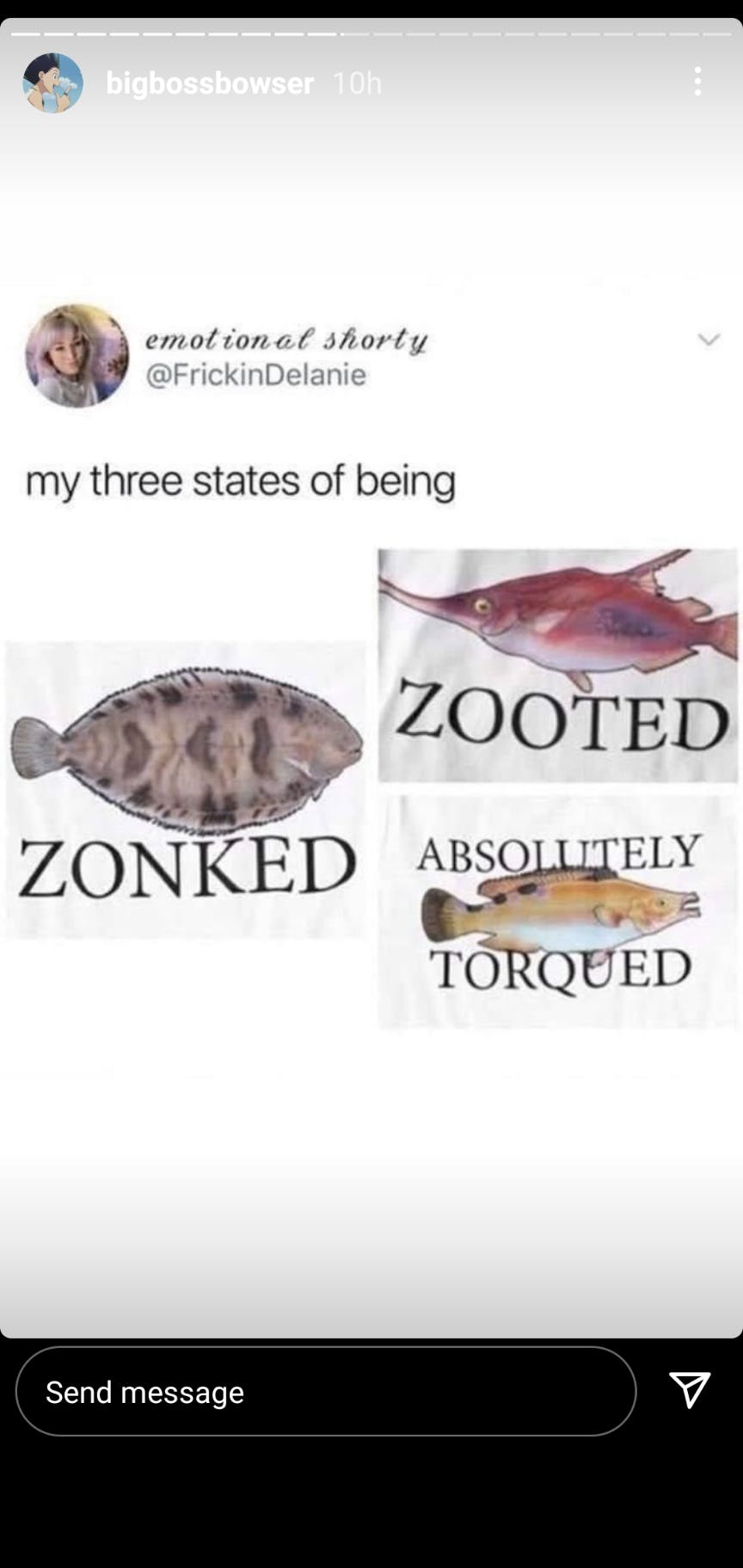 user avatar image for Thomas Salmon