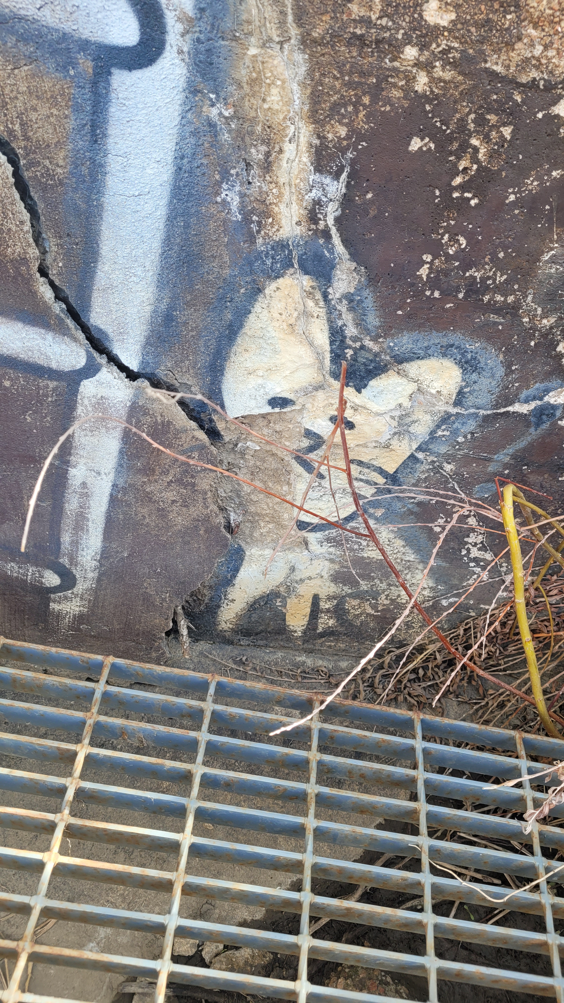 user avatar image for Spenny