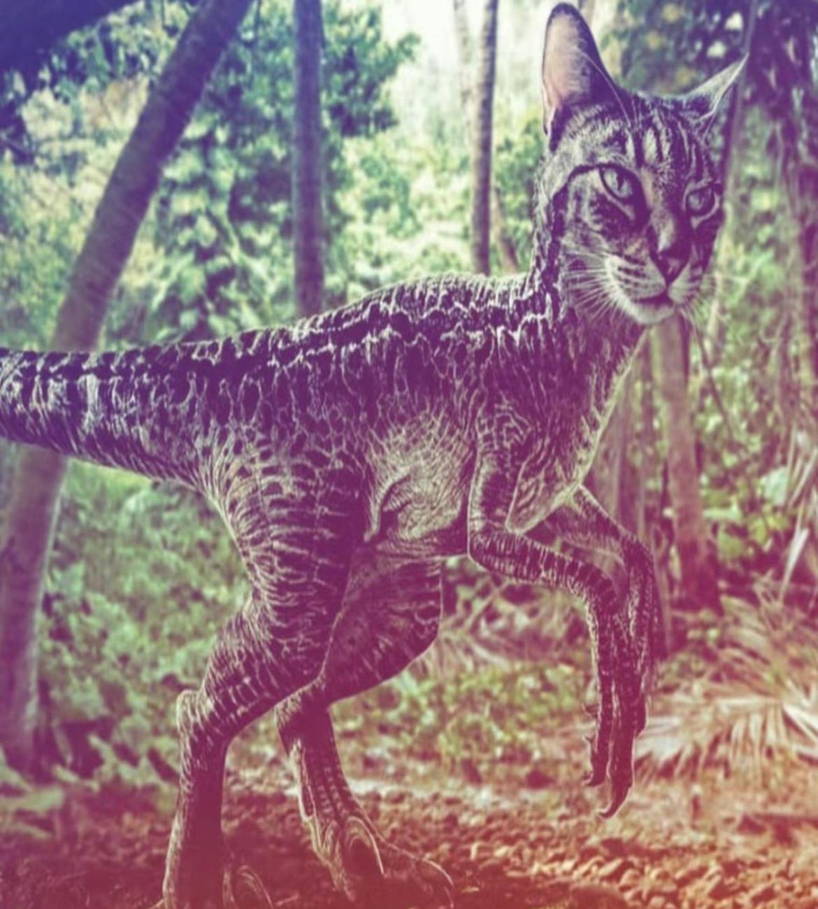 user avatar image for Emma-Linnea