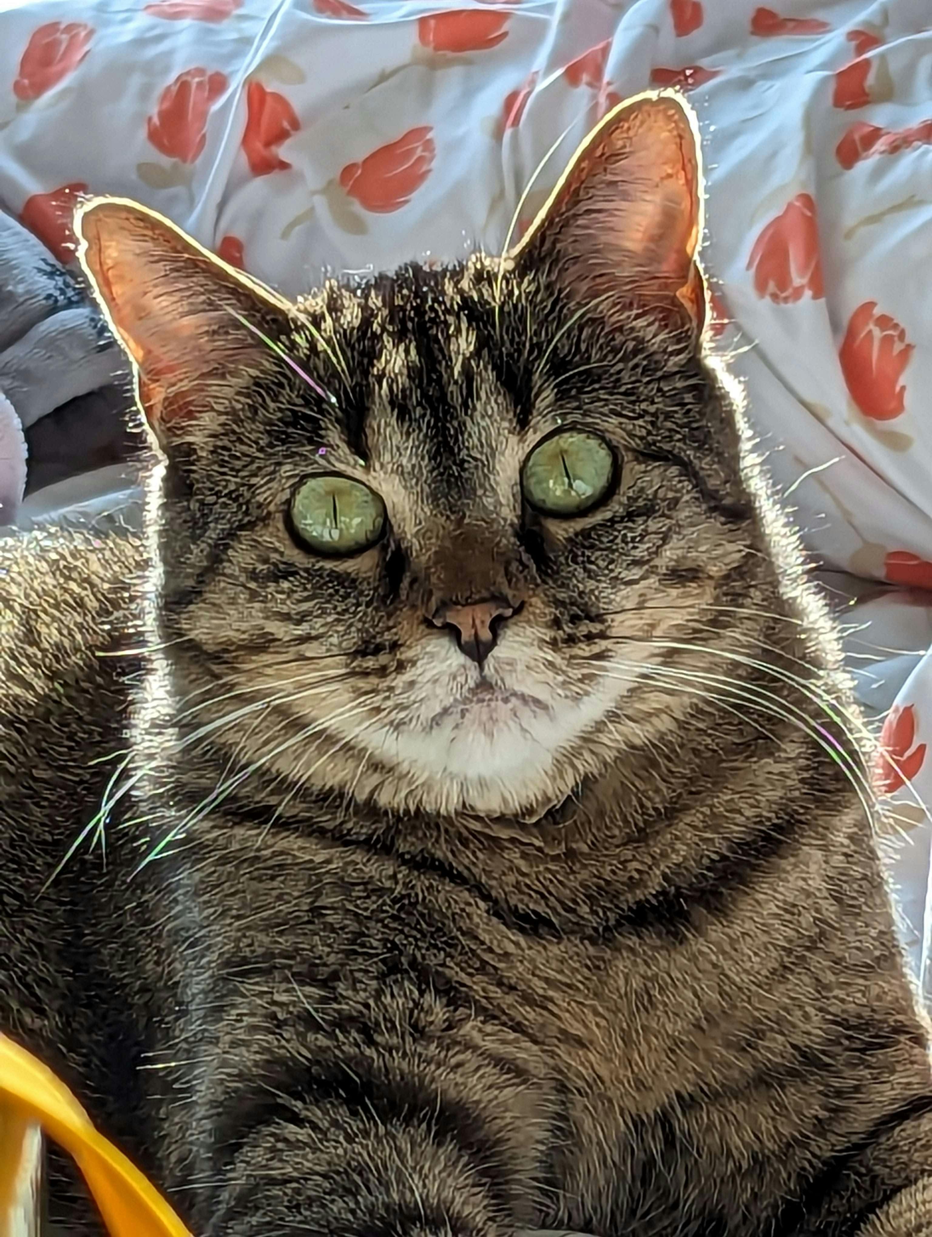 user avatar image for Dallas