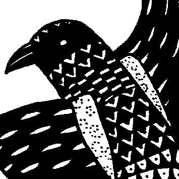 user avatar image for Wandering Magpie