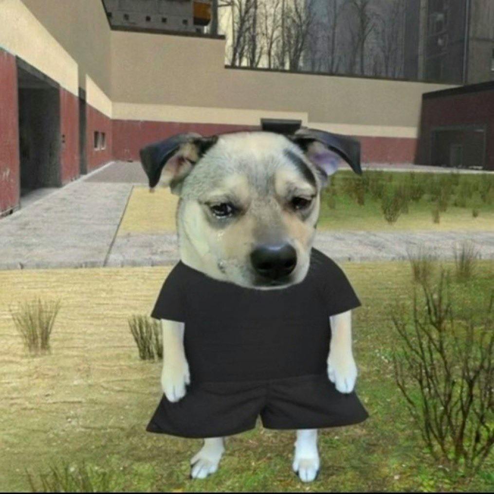 user avatar image for MochiN