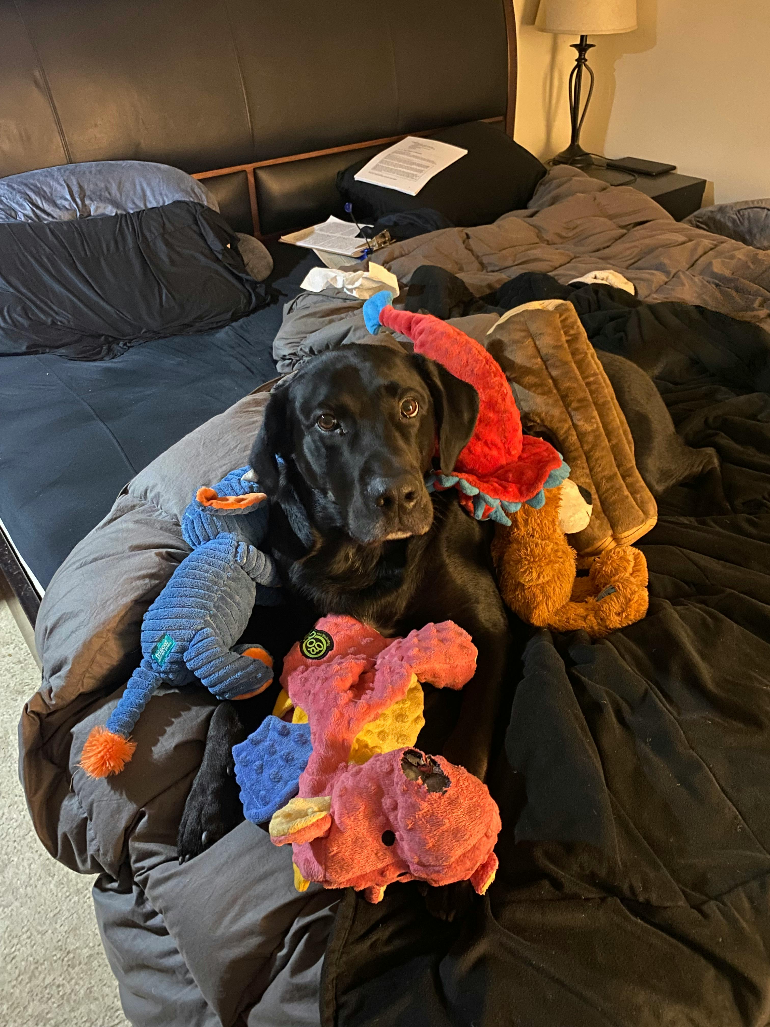 user avatar image for Brian Spicer