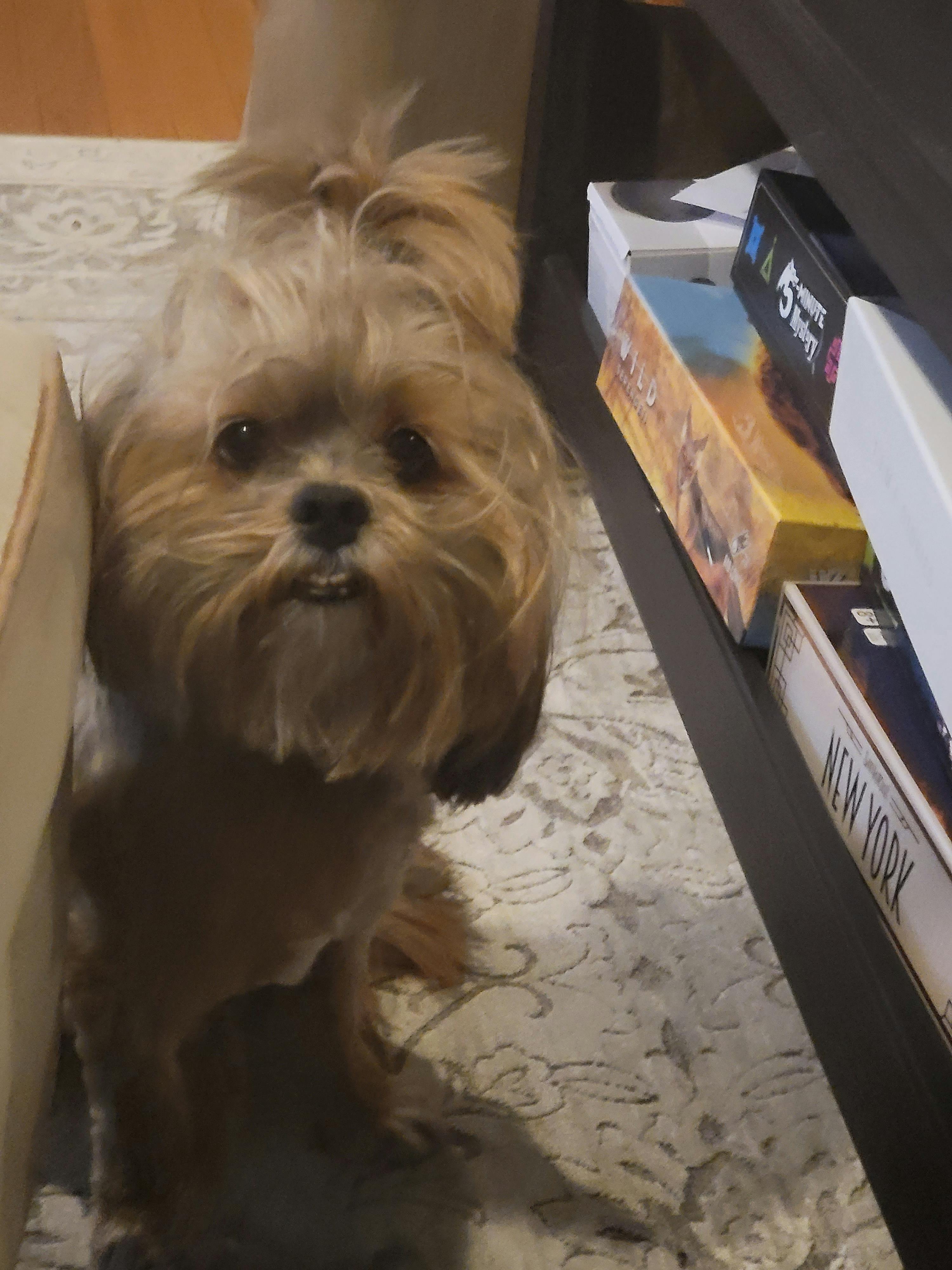 user avatar image for Keith Hughes