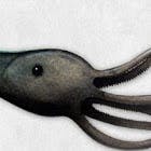 user avatar image for David Wimberley