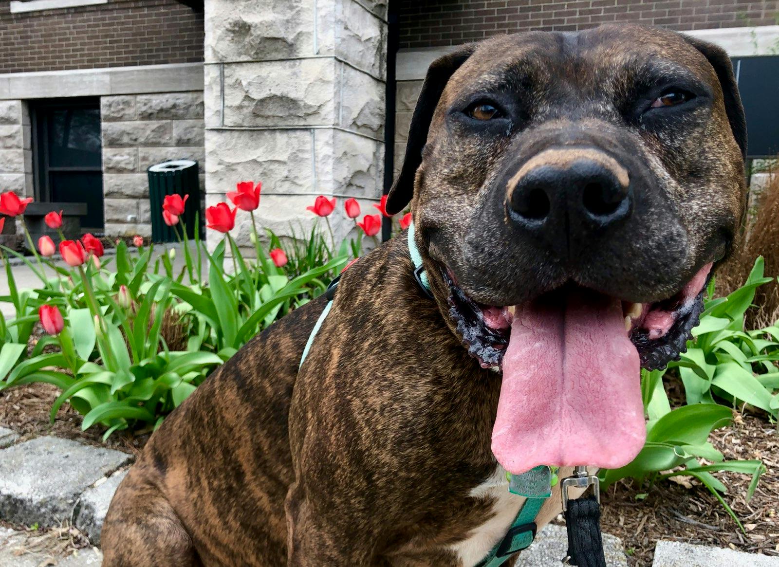 user avatar image for Joel Thurston