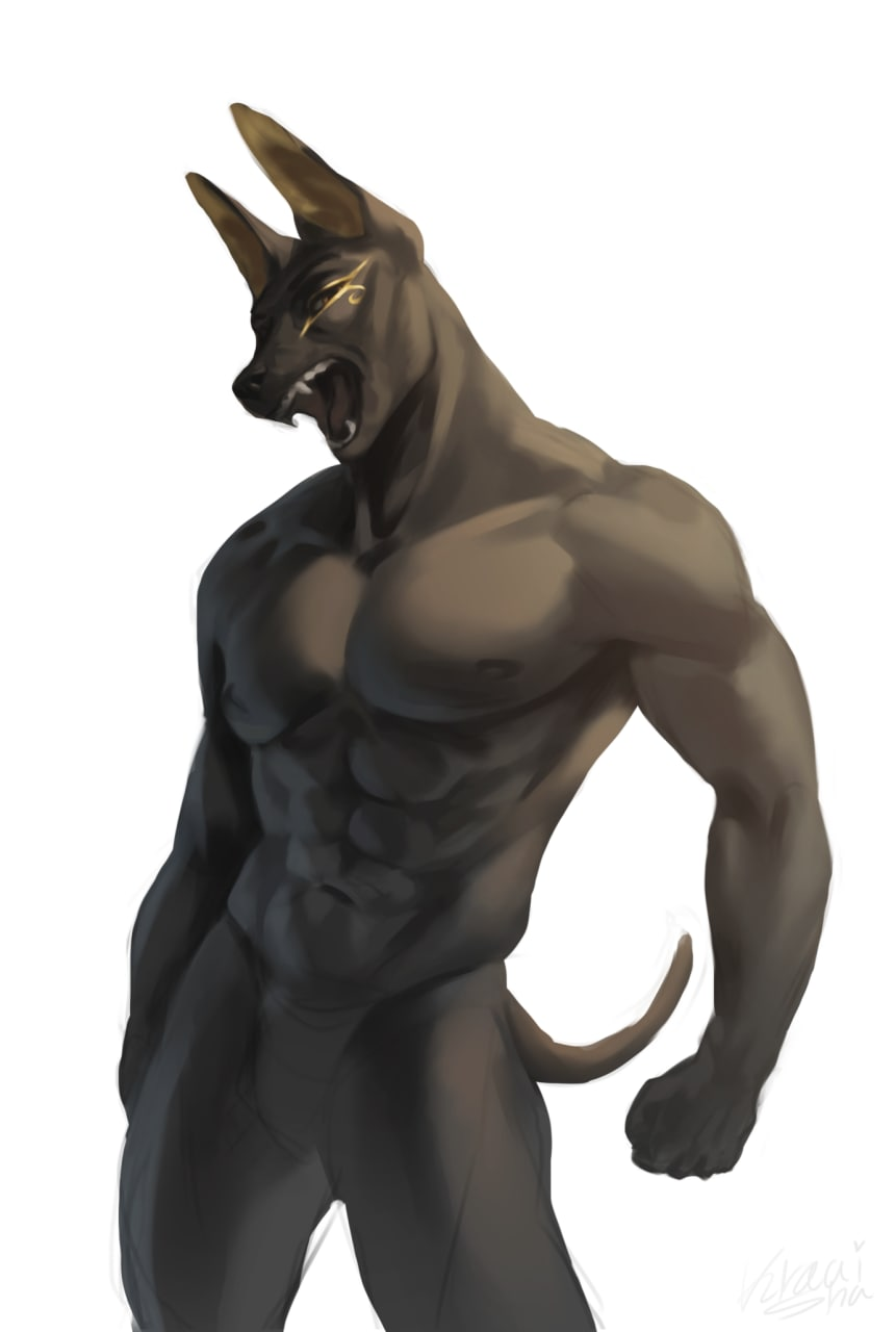 user avatar image for Jibade Najja