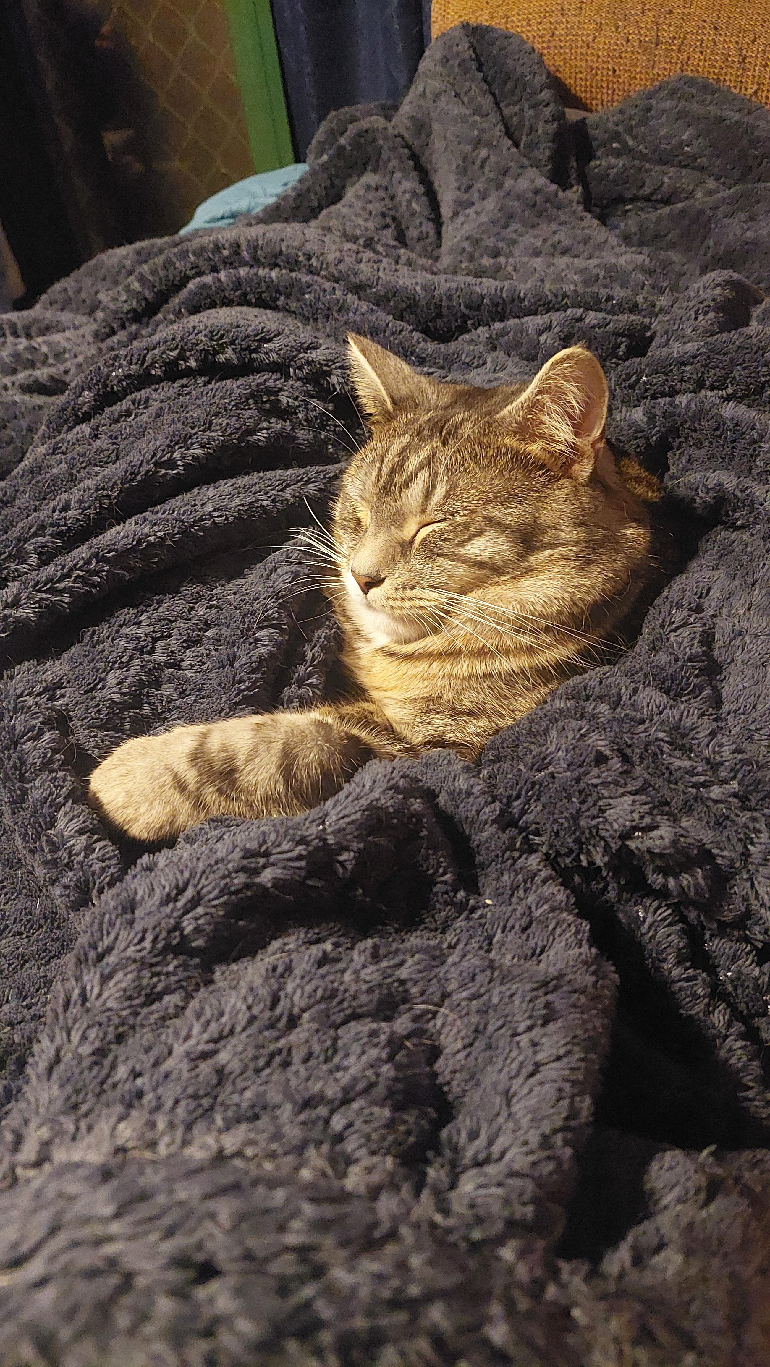 user avatar image for DBbbbbbb