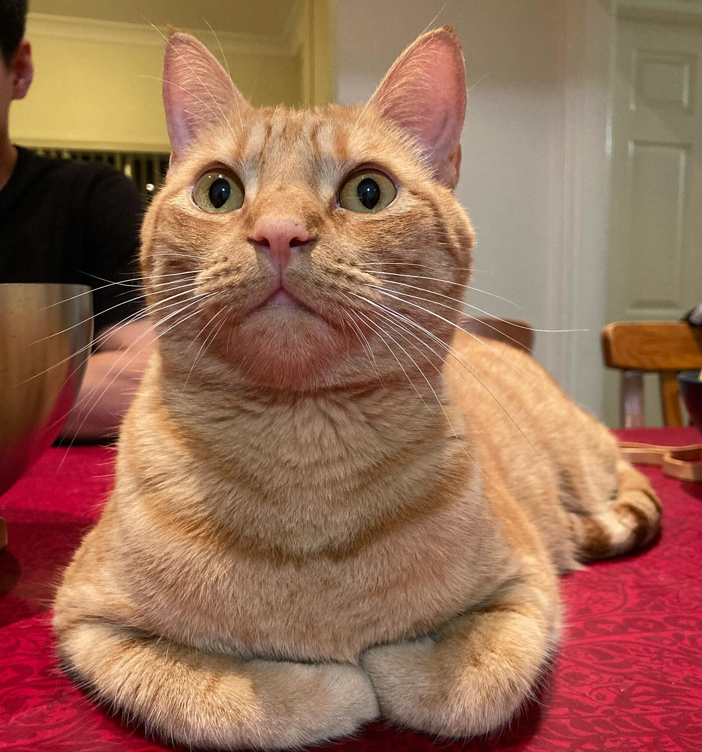 user avatar image for Daniel Judge