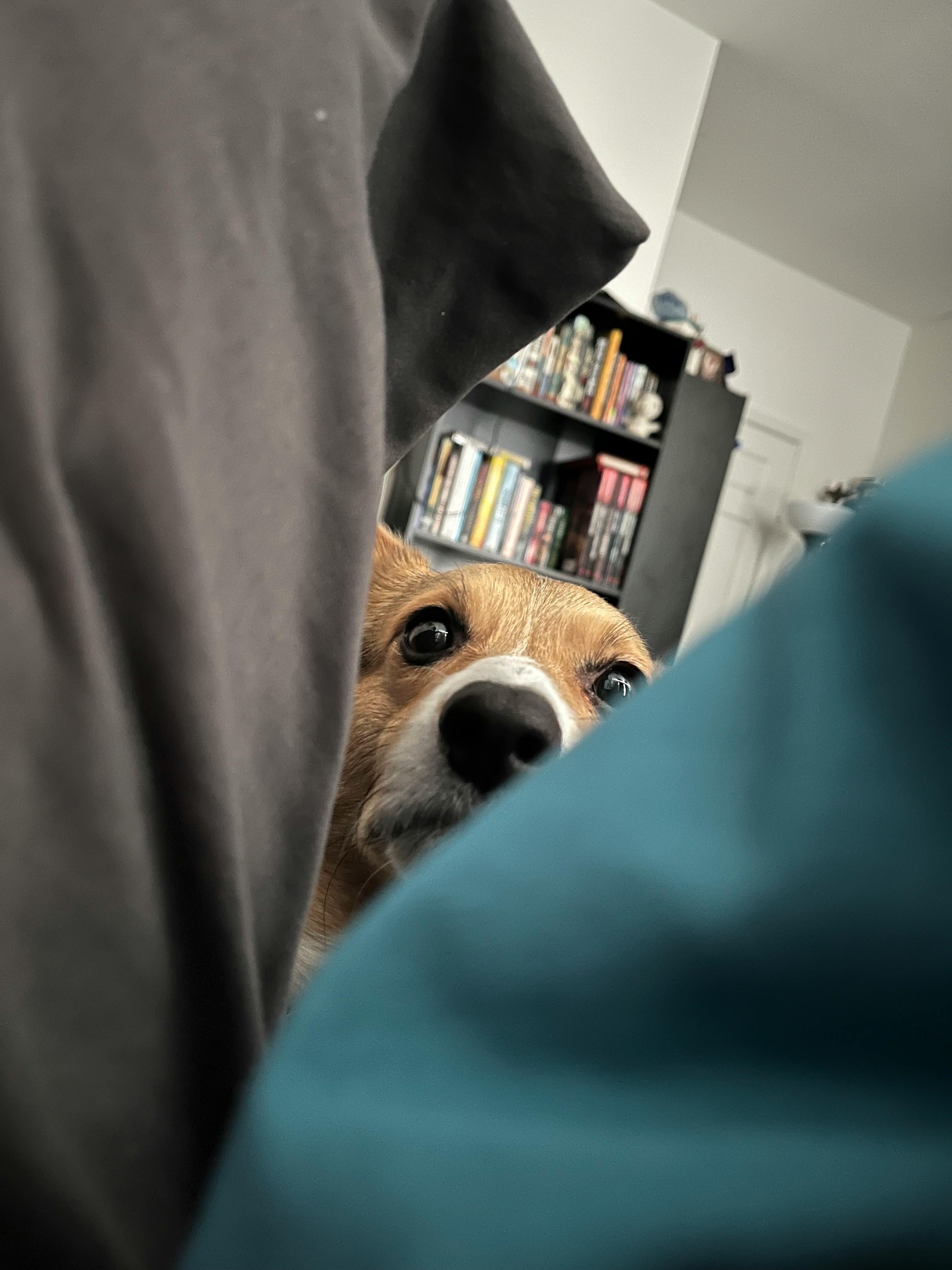 user avatar image for Karina Cordoba