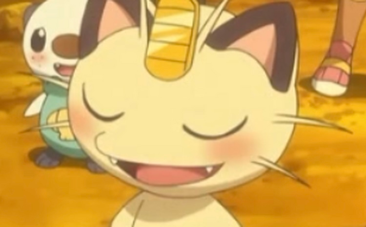 user avatar image for Cookie Kitty