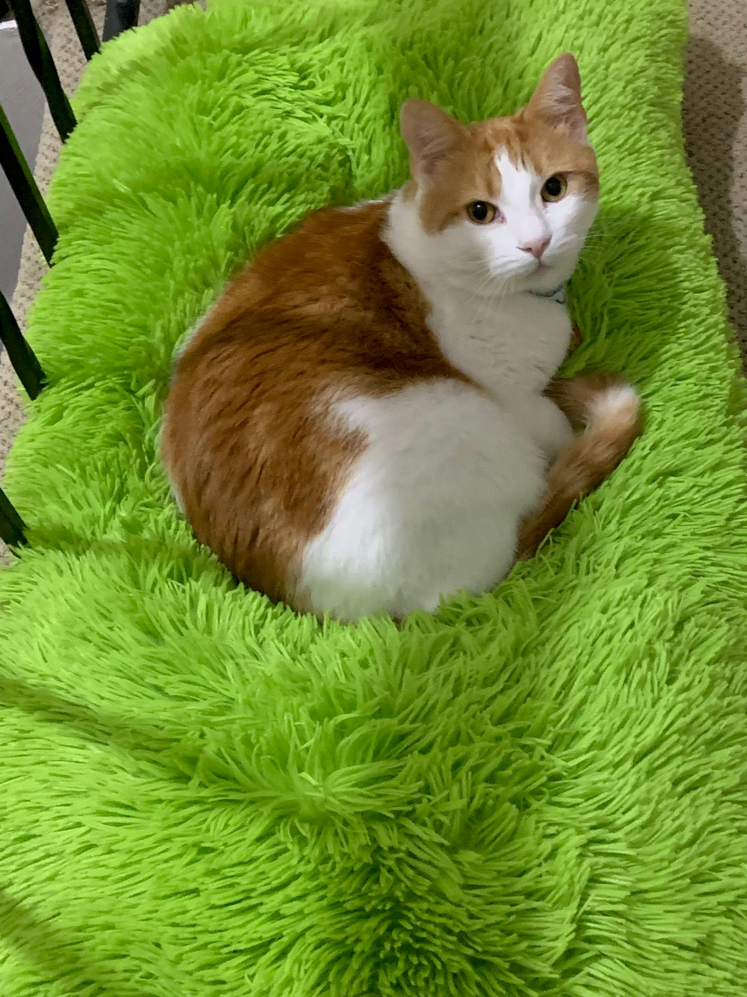 user avatar image for Ash