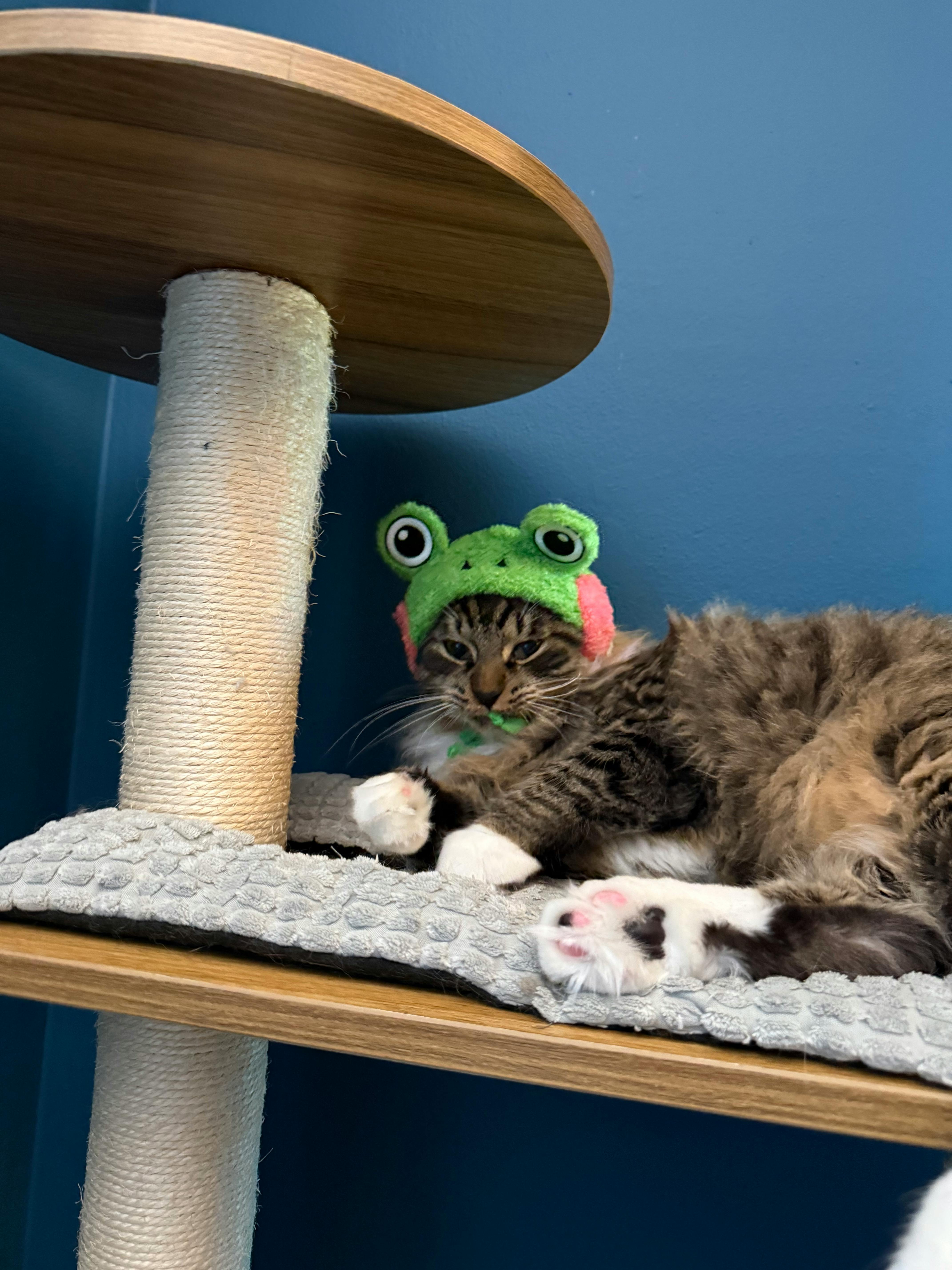 user avatar image for Jeffrey Scanlon