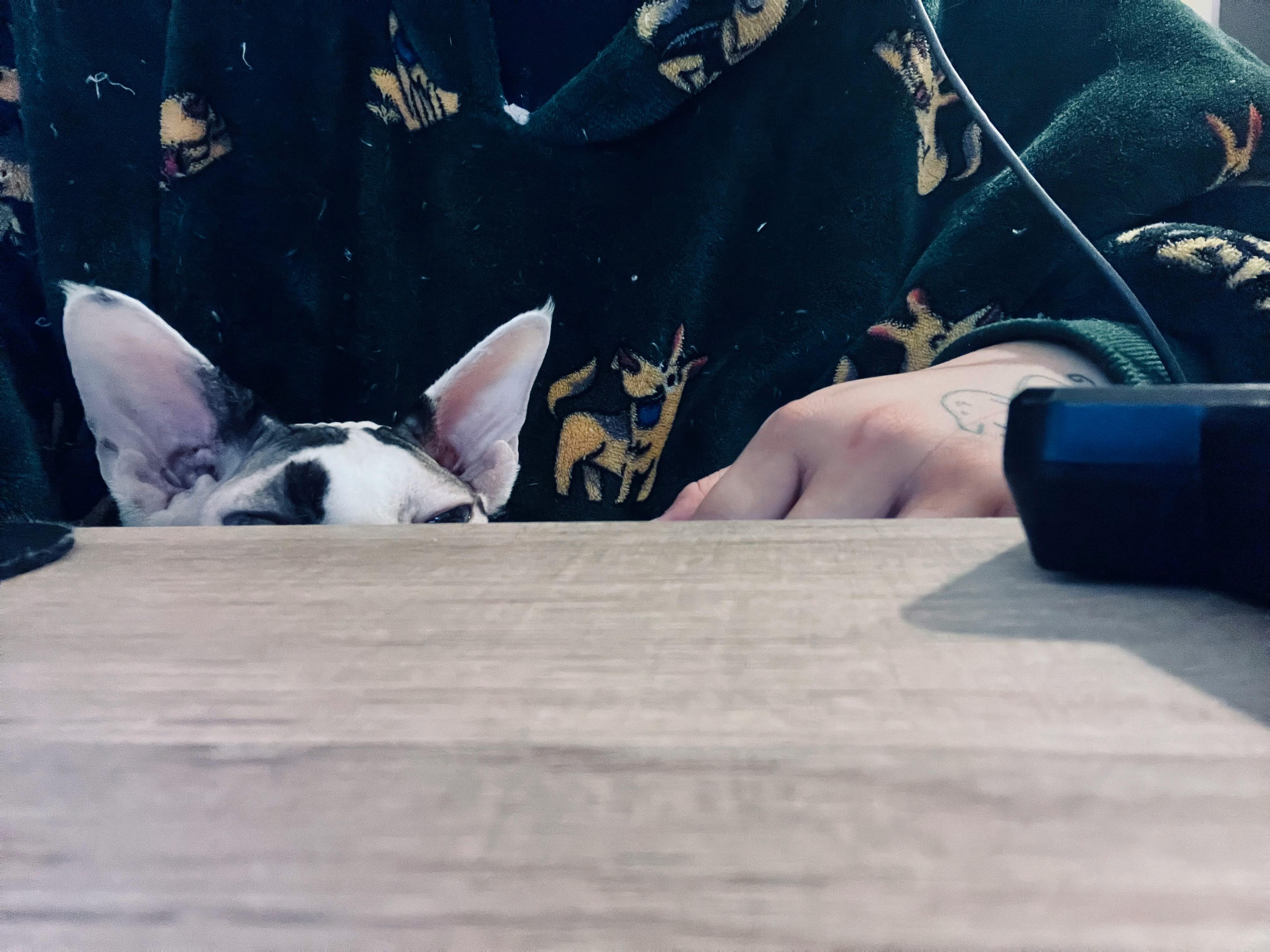 user avatar image for Azai Tureman