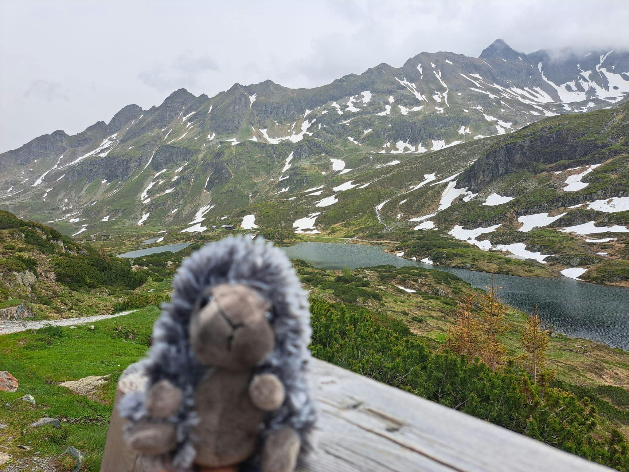 user avatar image for Joana