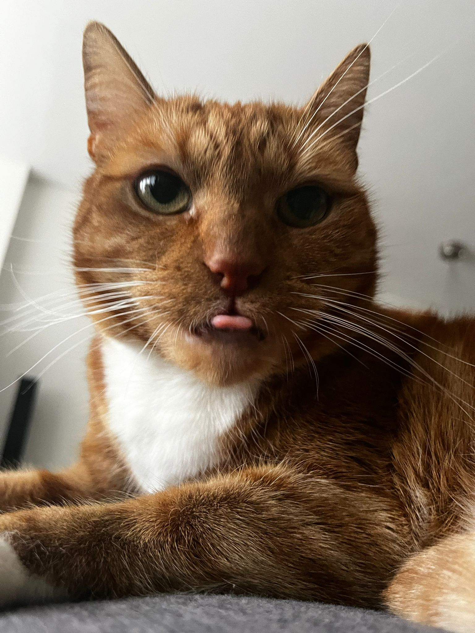 user avatar image for Roelio87