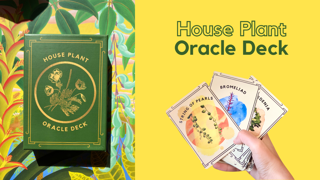 House Plant Oracle Deck Spring Cleaning