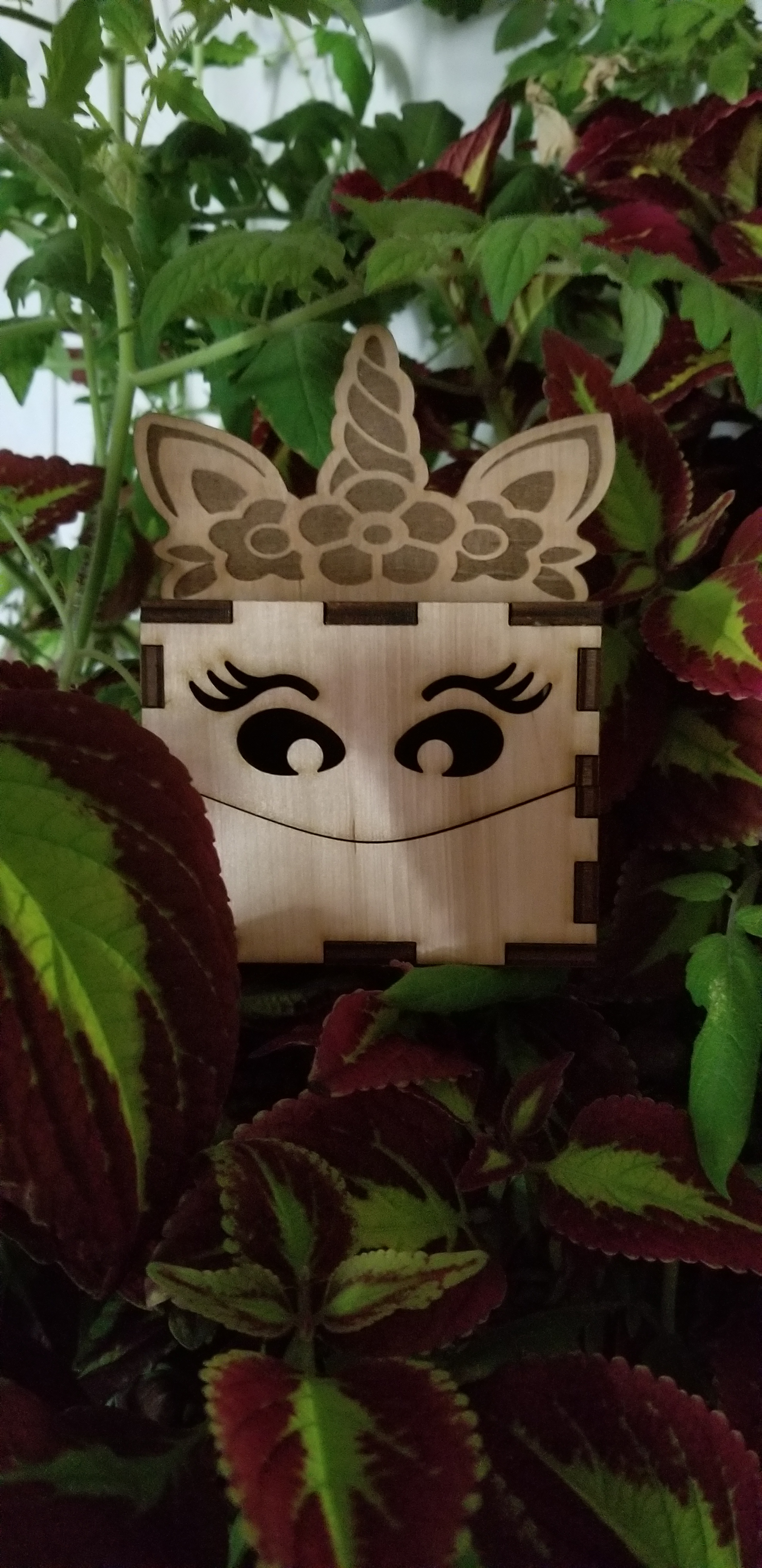 user avatar image for Foste