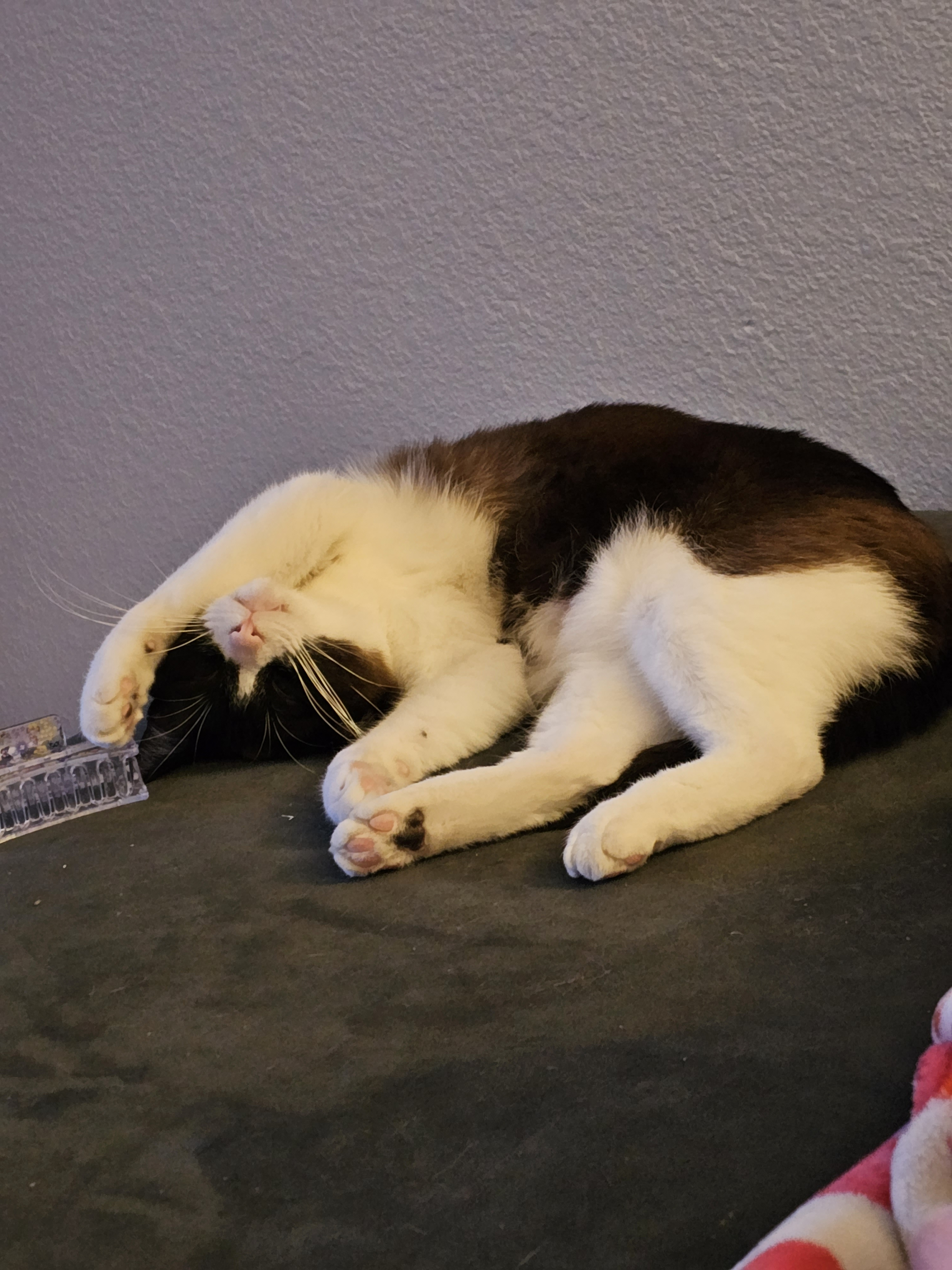 user avatar image for Ben