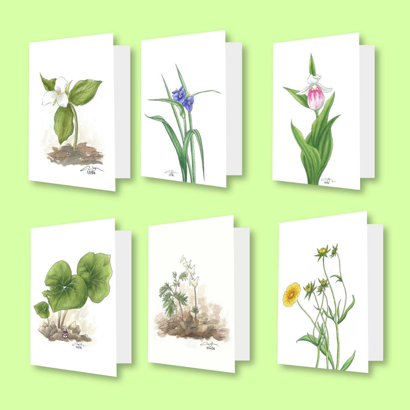 One Native Wildflower Greeting Card